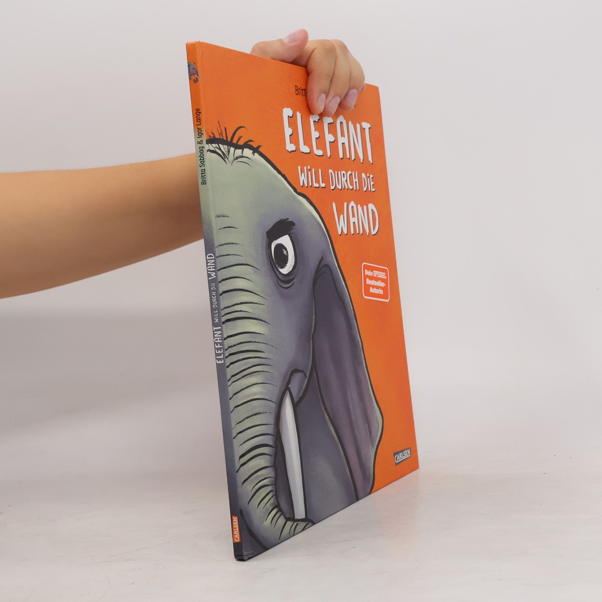 Britta Sabbag Elefant will durch die Wand