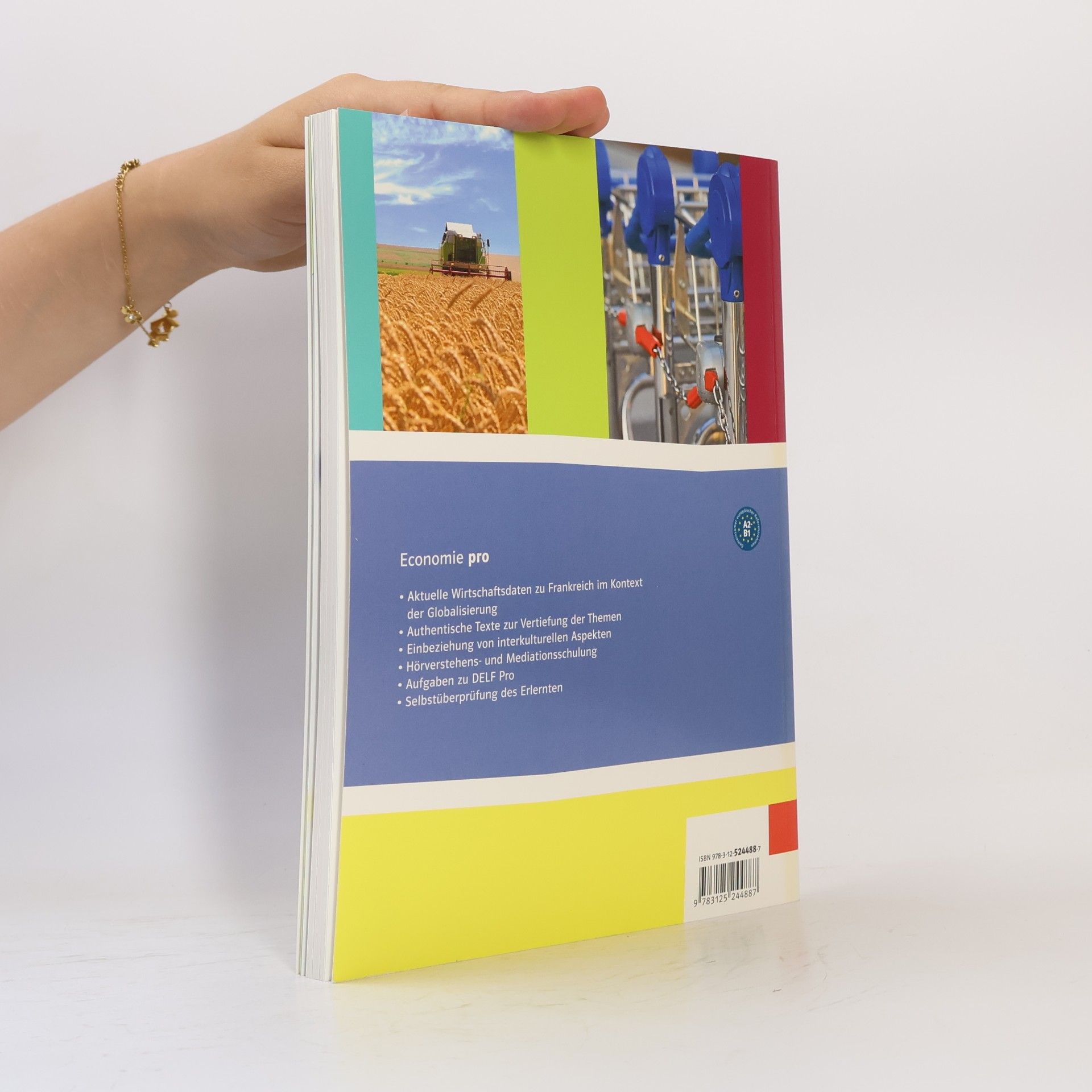 Economie pro ab Klasse 11: Schulbuch ab 2. Lernjahr