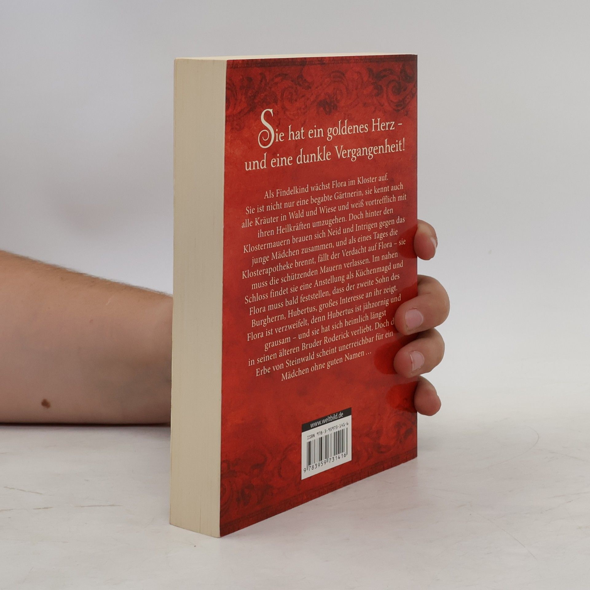 Ines Thorn Die Heilerin von Steinwald
