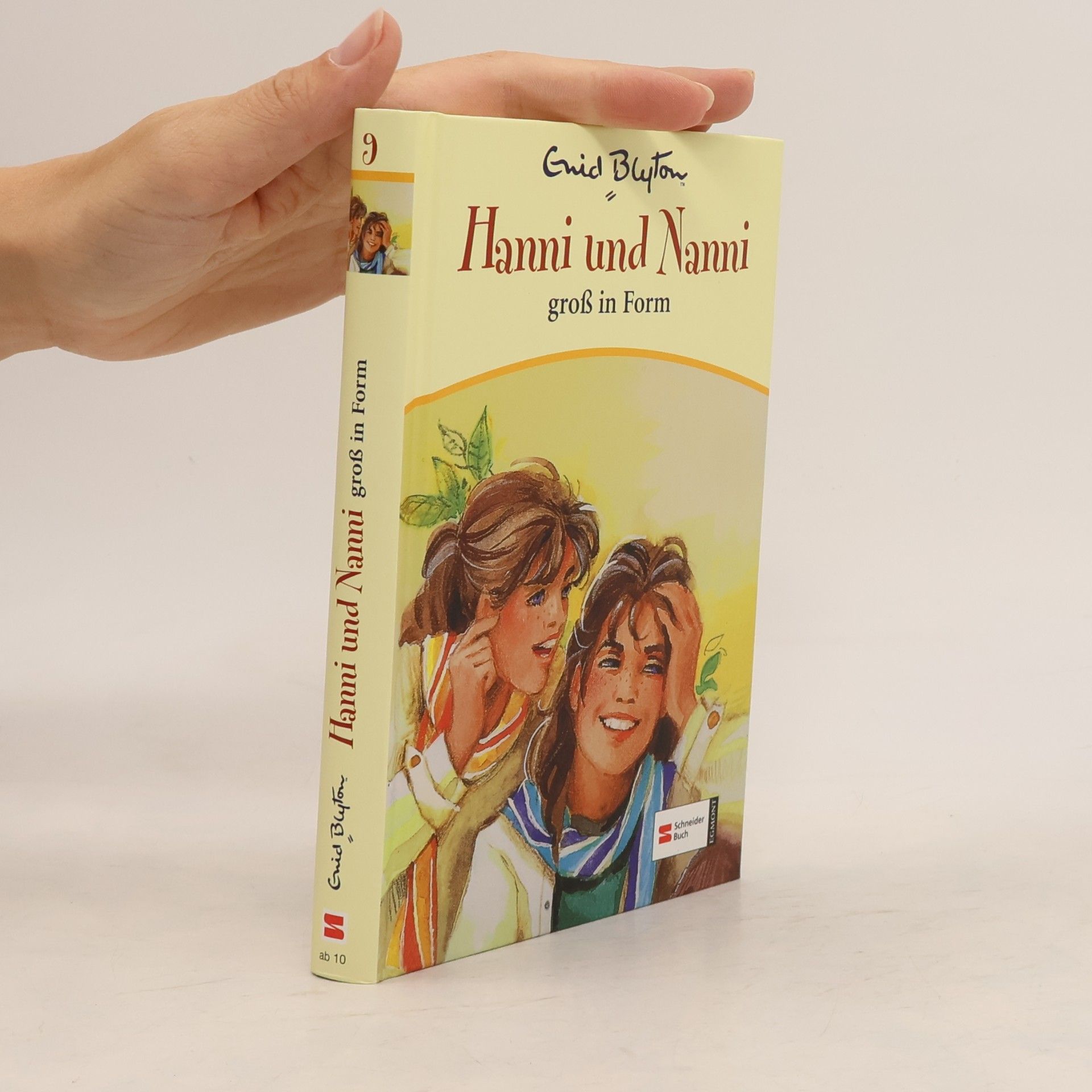 Enid Blyton Hanni und Nanni groß in Form