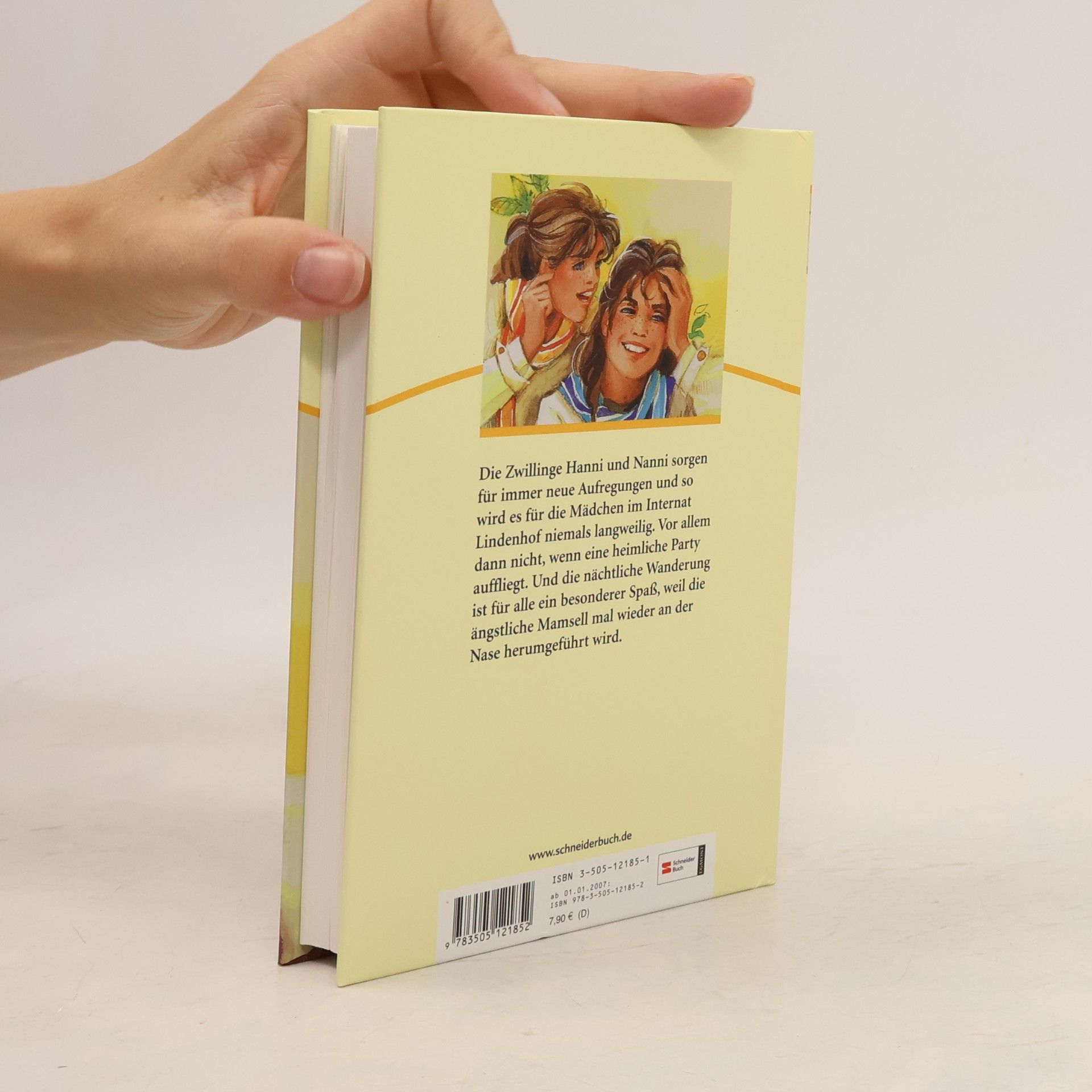 Enid Blyton Hanni und Nanni groß in Form