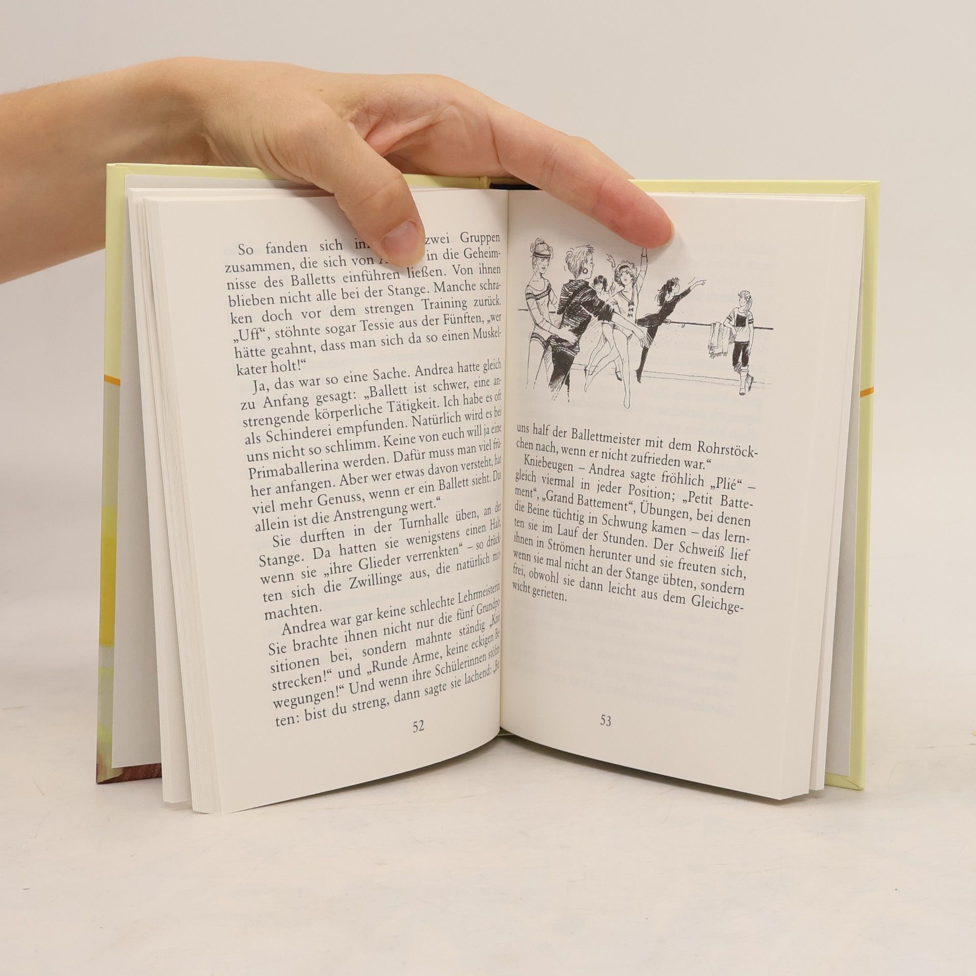 Enid Blyton Hanni und Nanni groß in Form