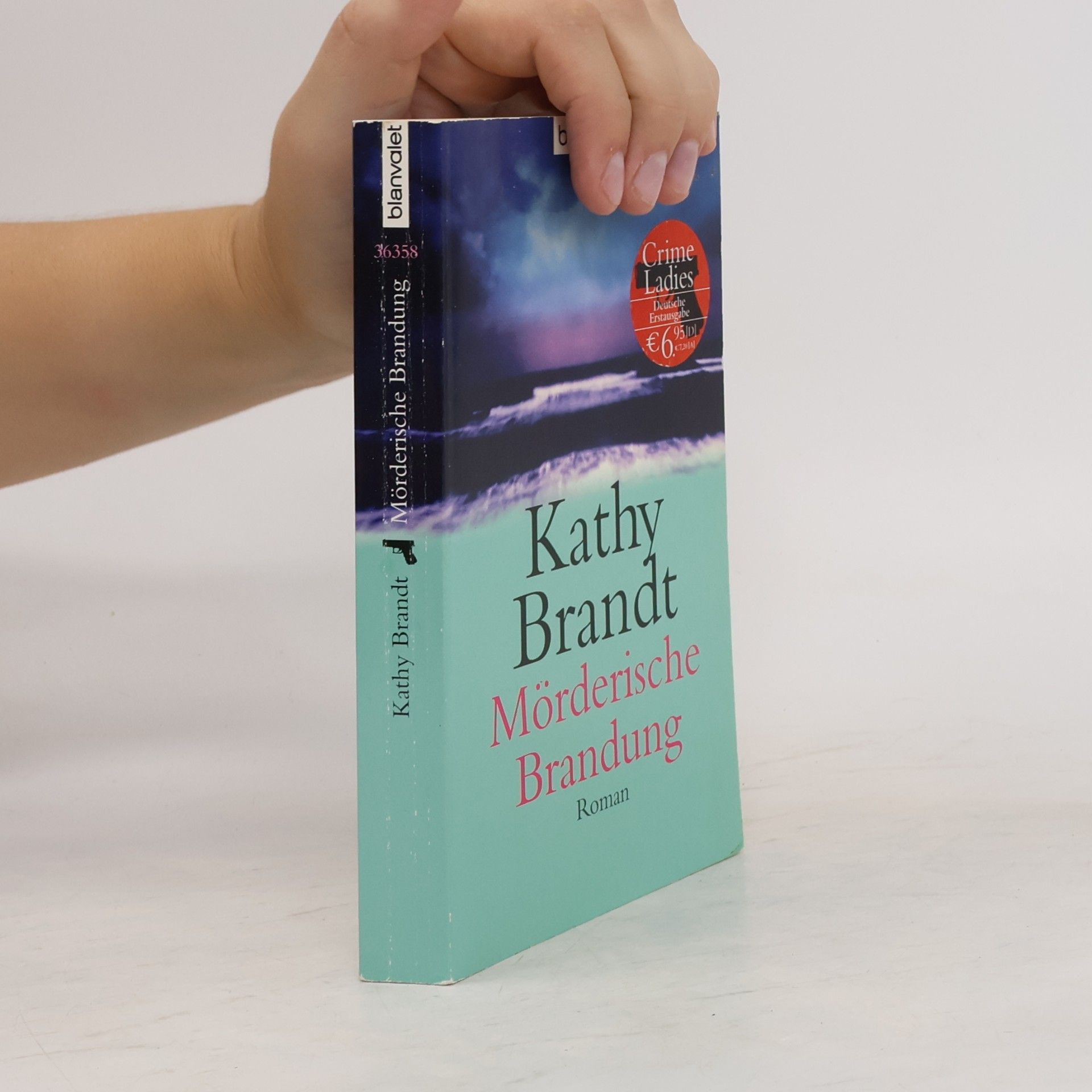 Kathy Brandt Mörderische Brandung