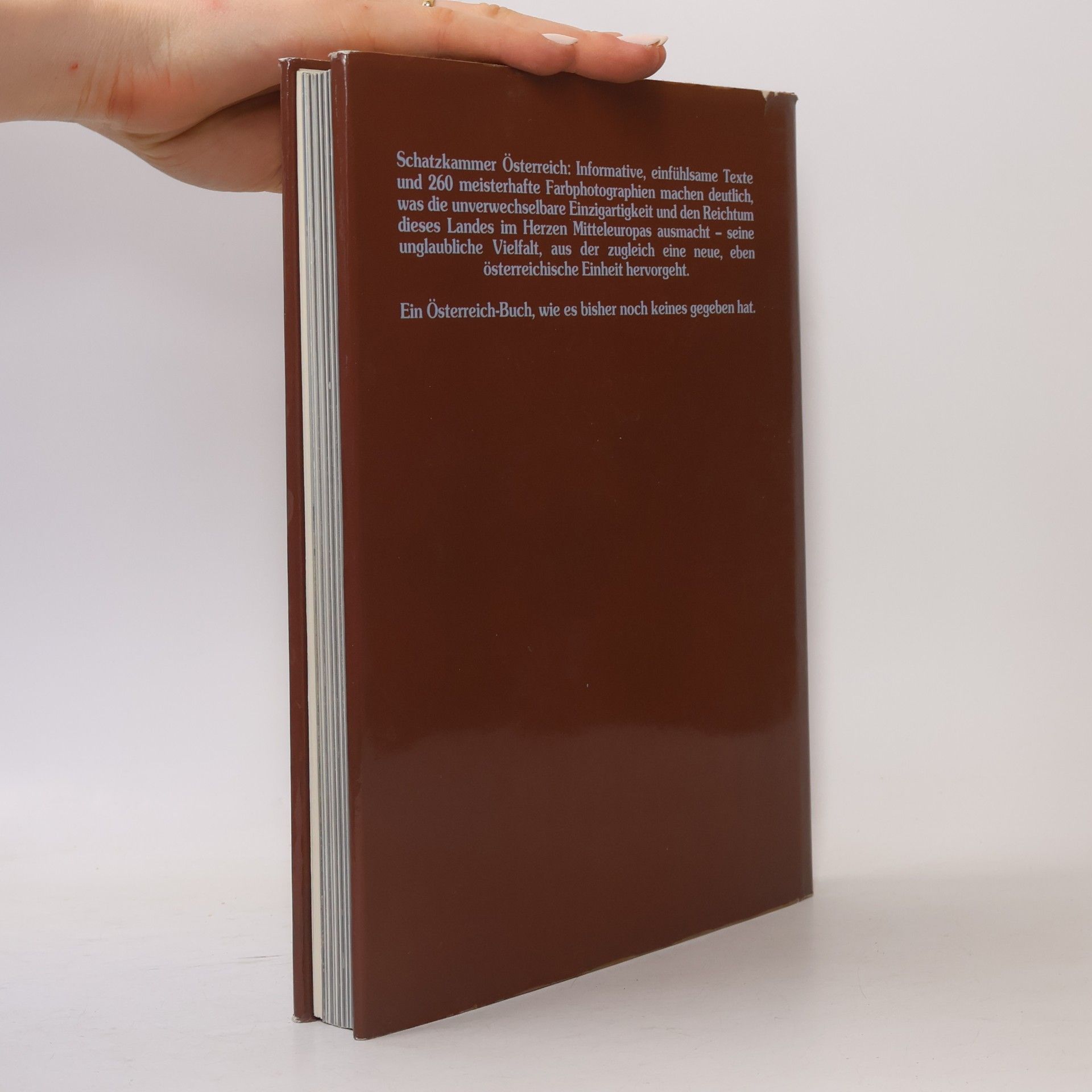 Various authors Schatzkammer Österreich