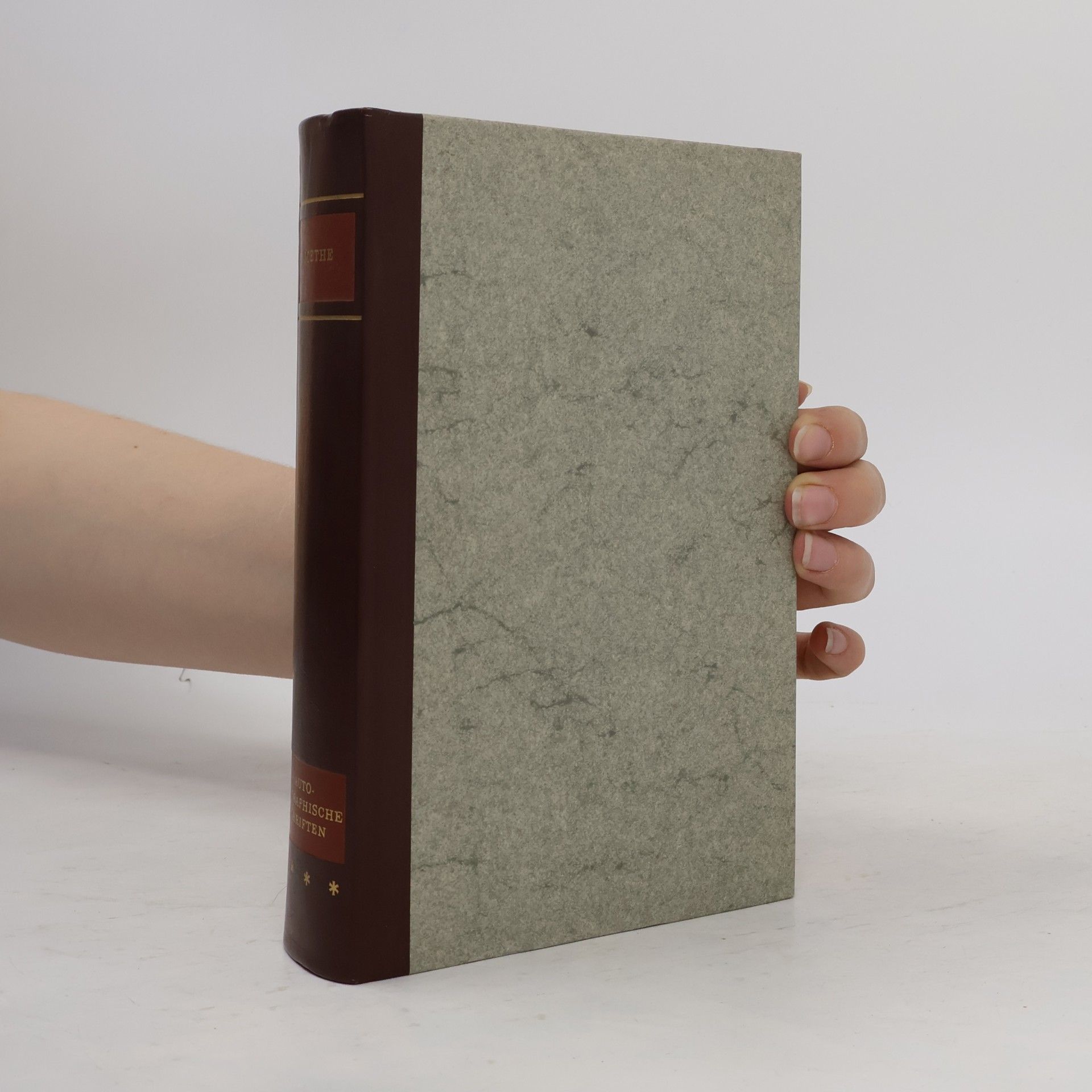 Johann Wolfgang von Goethe Gesammelte Werke 4