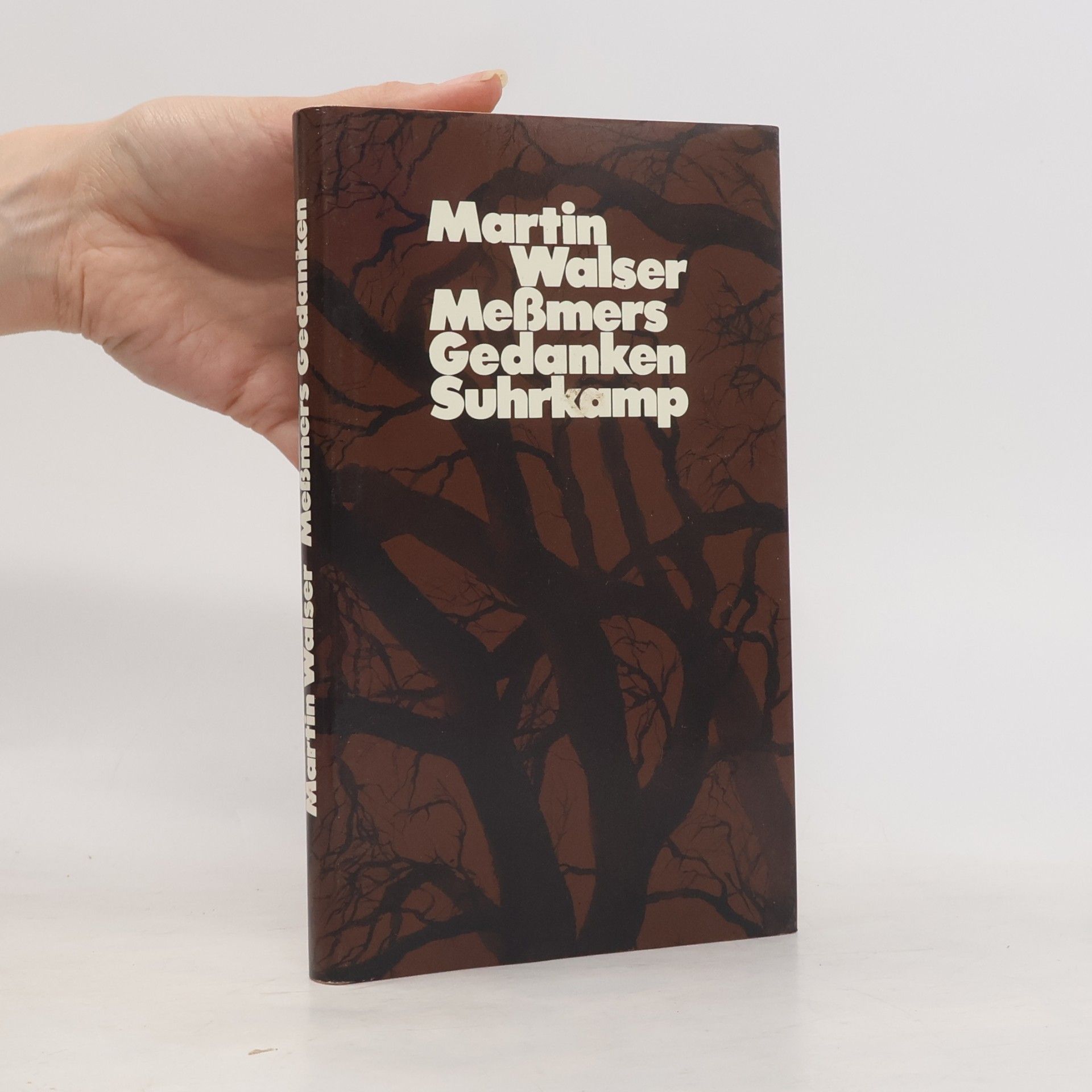 Martin Walser Meßmers Gedanken