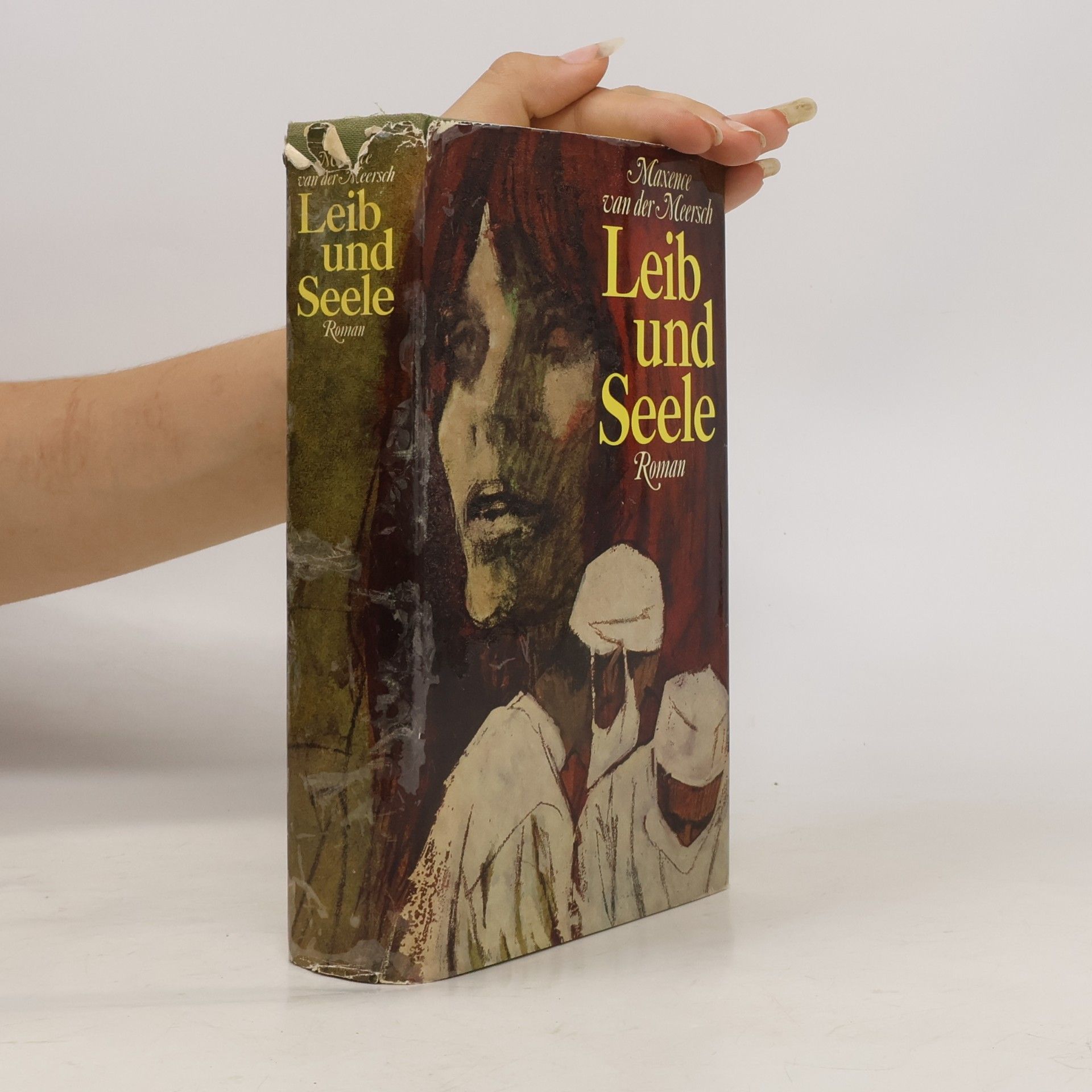 Maxence van der Meersch Leib und Seele