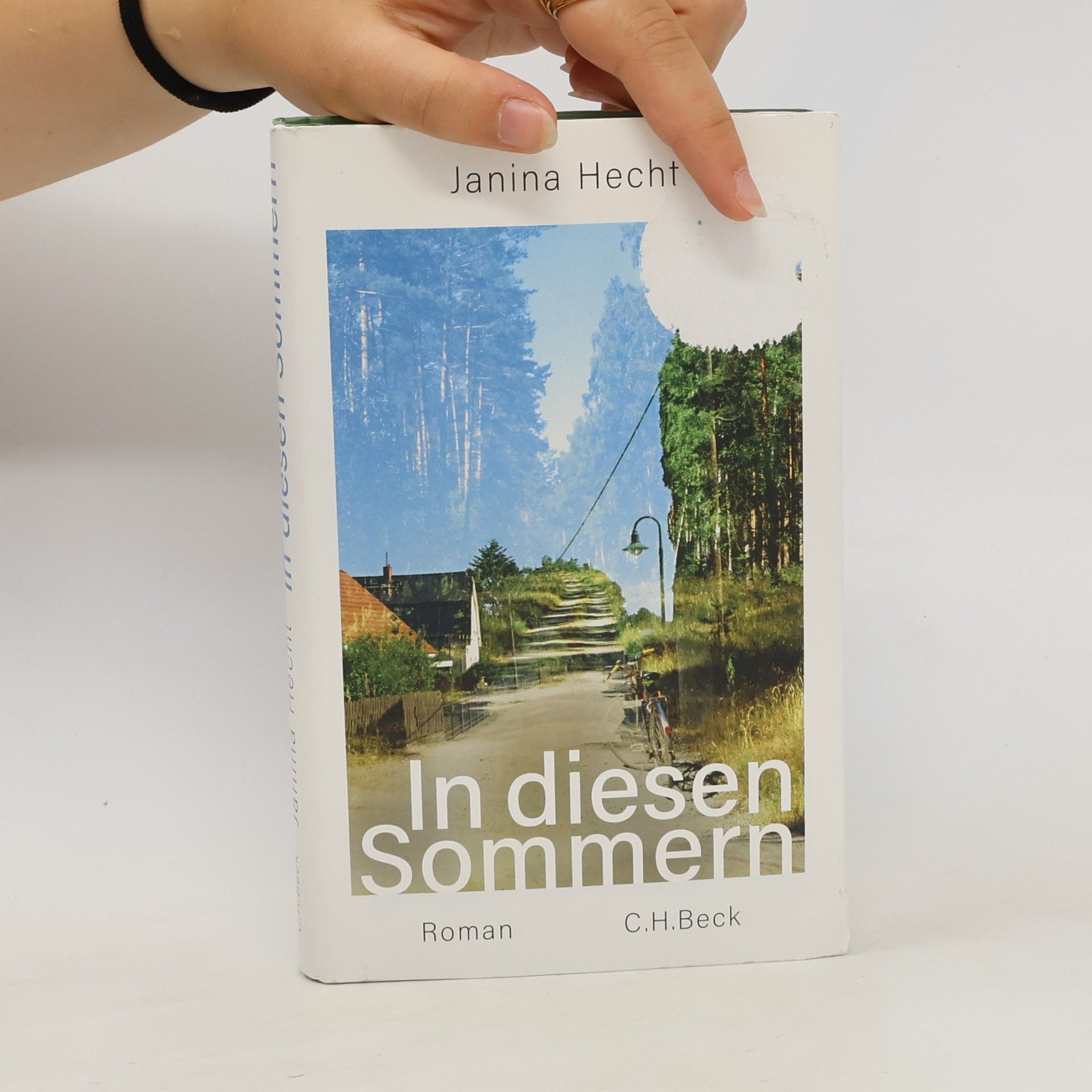 Janina Hecht In diesen Sommern