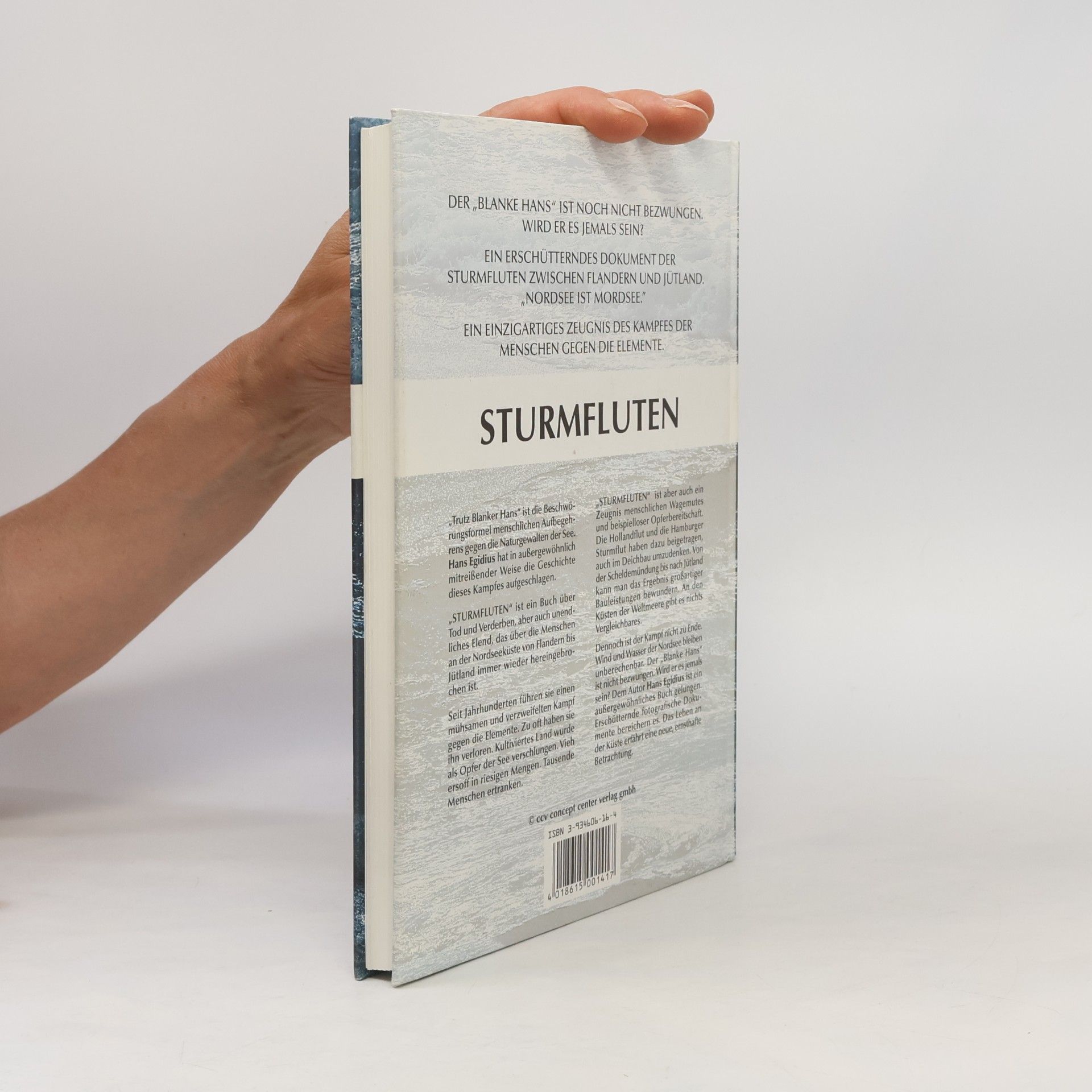 Hans Egidius Sturmfluten