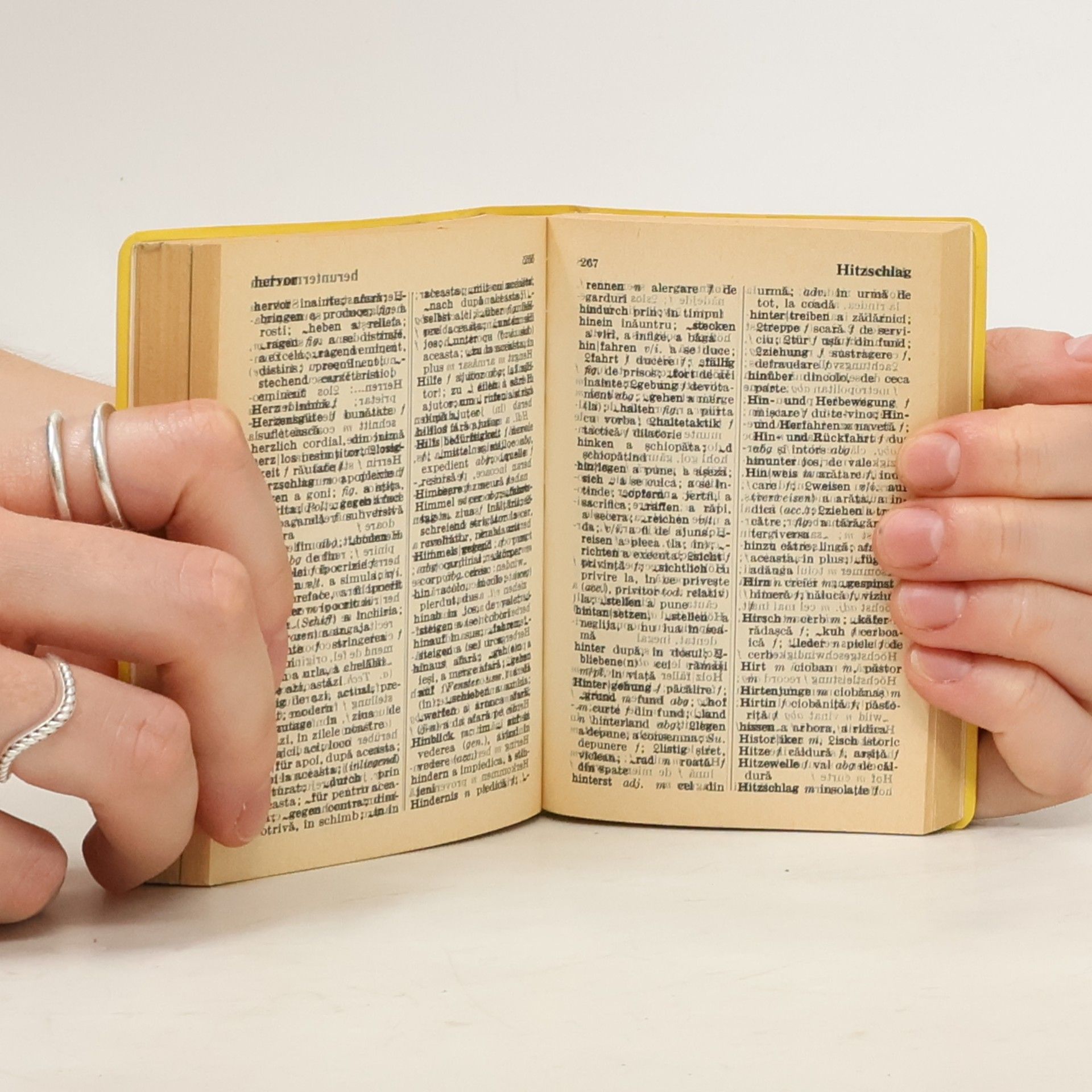 Ernst Erwin Lange-Kowal Langenscheidts Universal-Wörterbuch Rumänisch