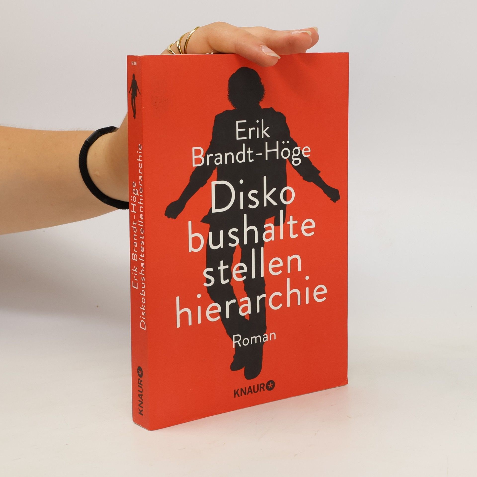 Erik Brandt-Höge Diskobushaltestellenhierarchie