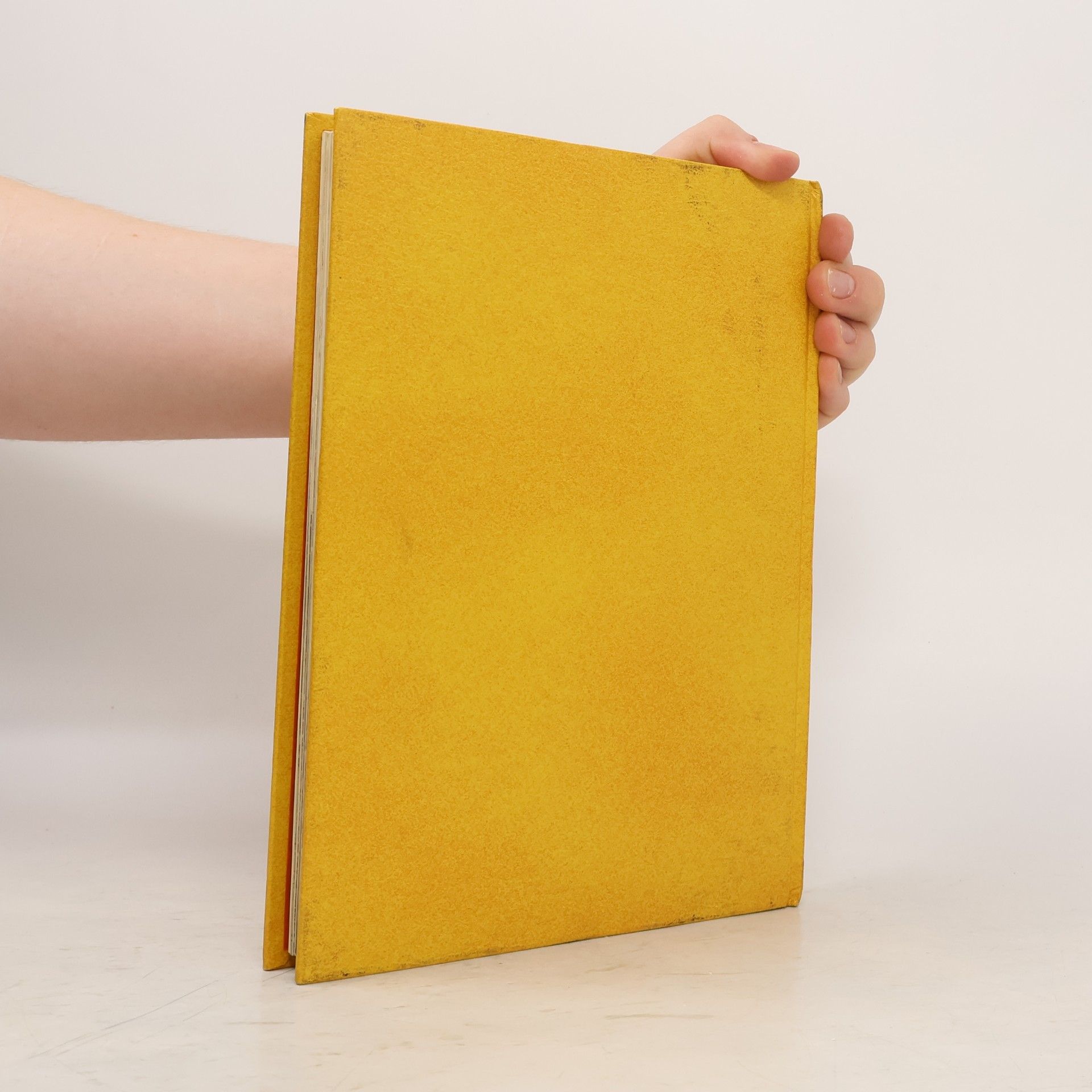 Autorenkollektiv Mein Buch mit biblischen Geschichten