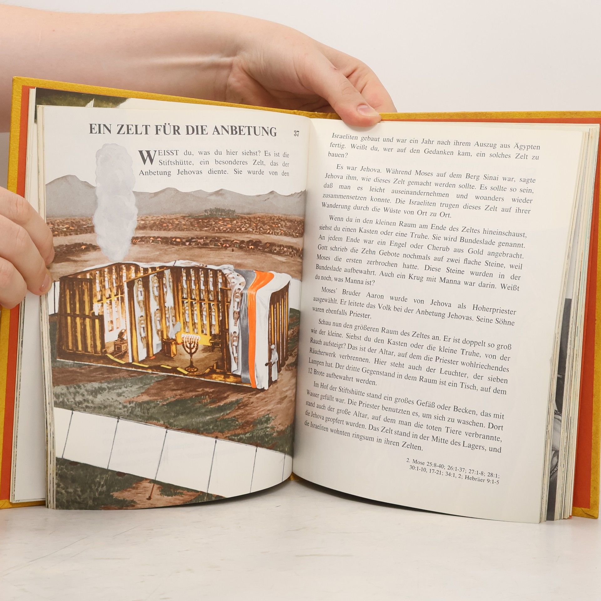 Autorenkollektiv Mein Buch mit biblischen Geschichten