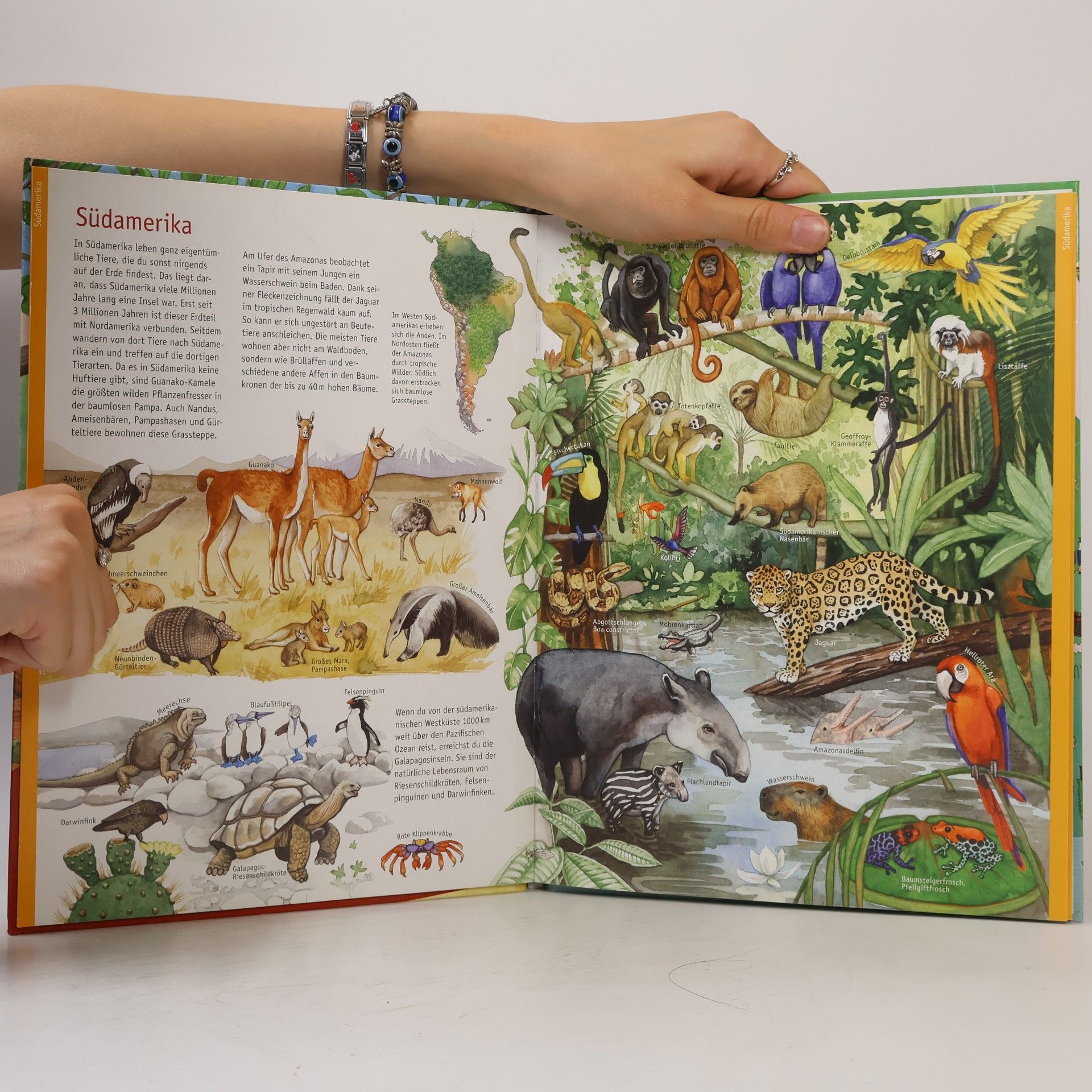 Autorenkollektiv Mein grosser Atlas der Erde und ihrer Tiere