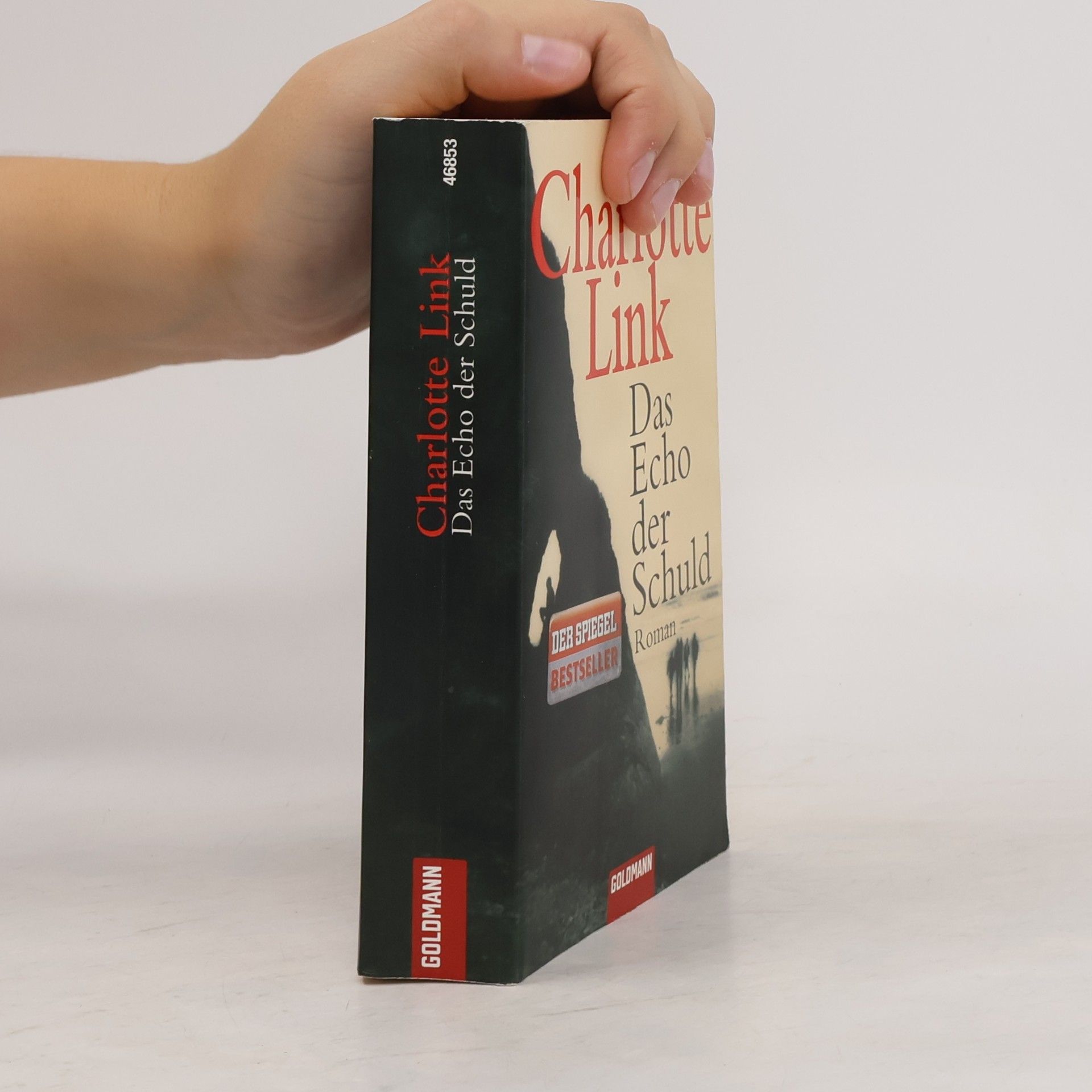 Charlotte Link Das Echo der Schuld