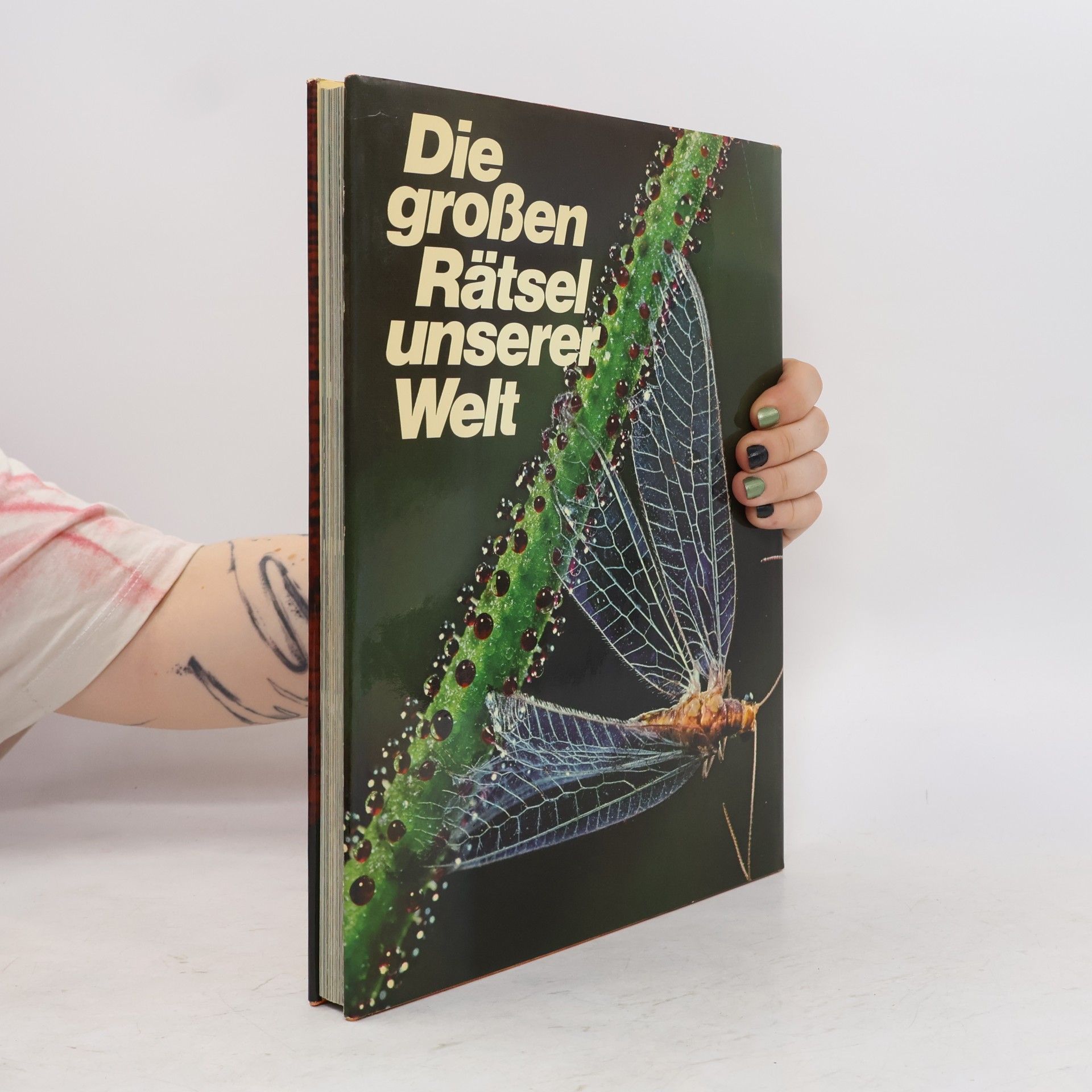 Roland Gööck Die großen Rätsel unserer Welt