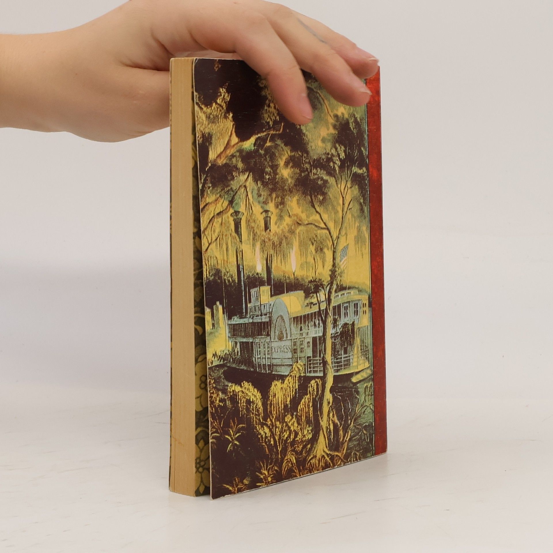 Mark Twain Die Abenteur von Tom Sawyer