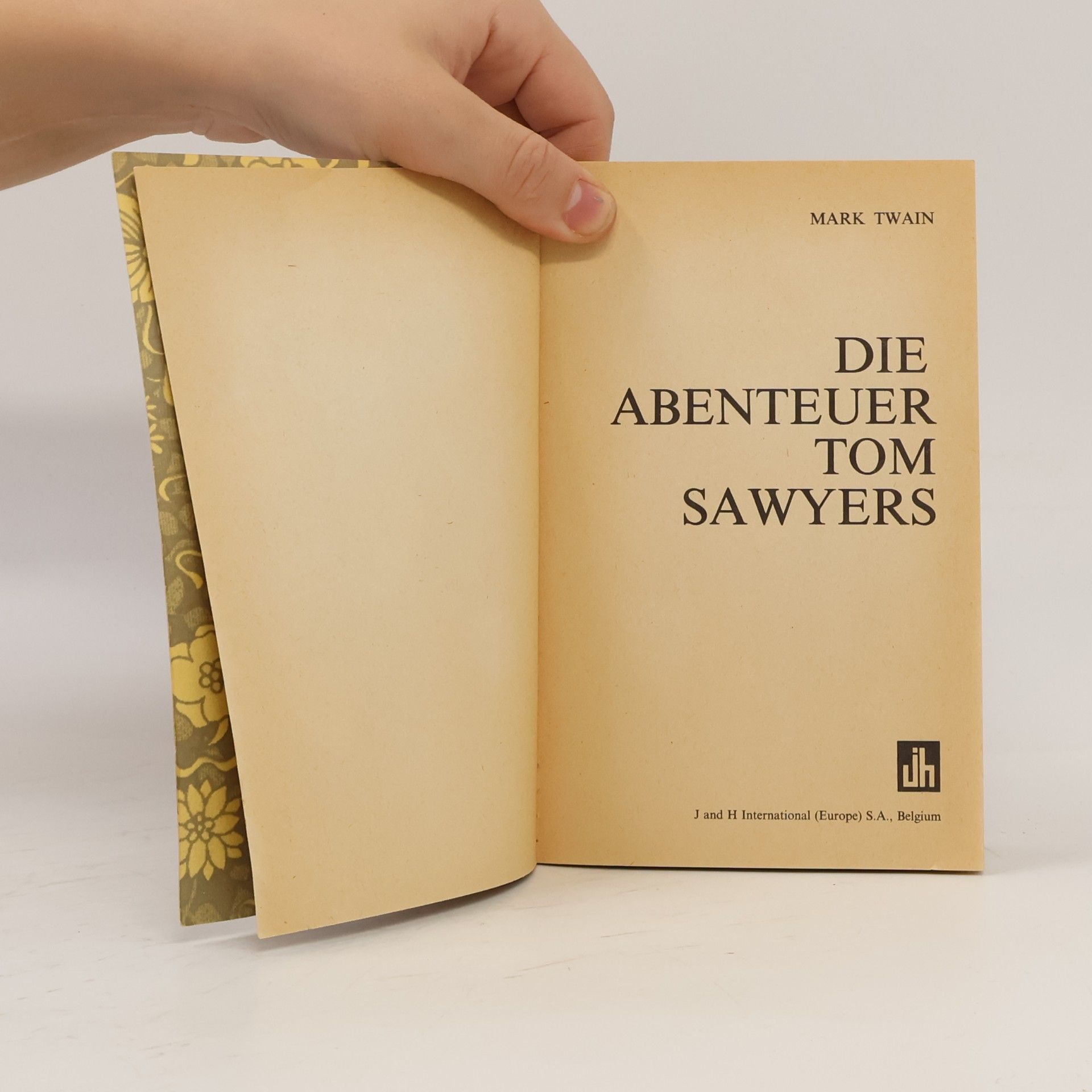 Mark Twain Die Abenteur von Tom Sawyer