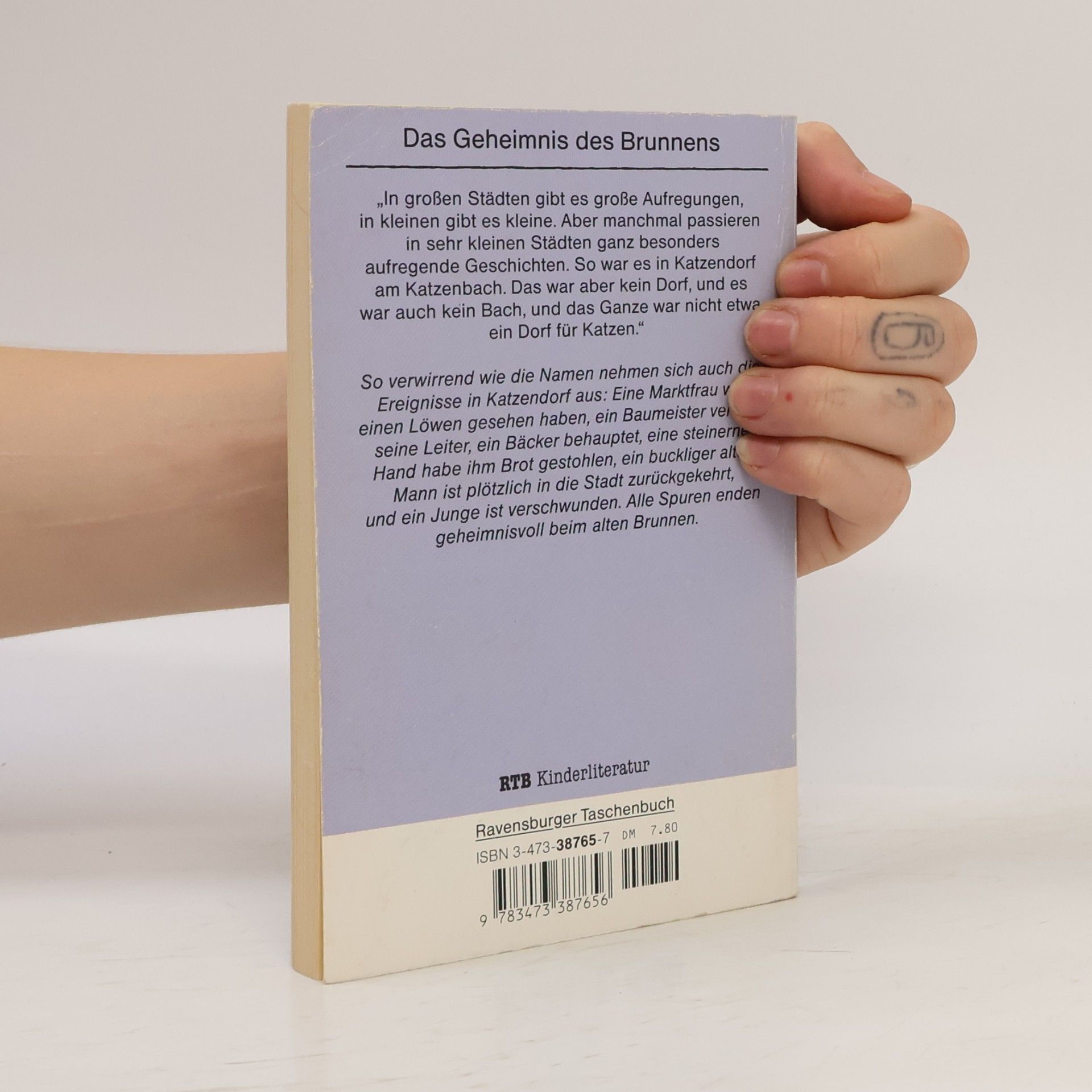 Luise Rinser Das Geheimnis des Brunnens