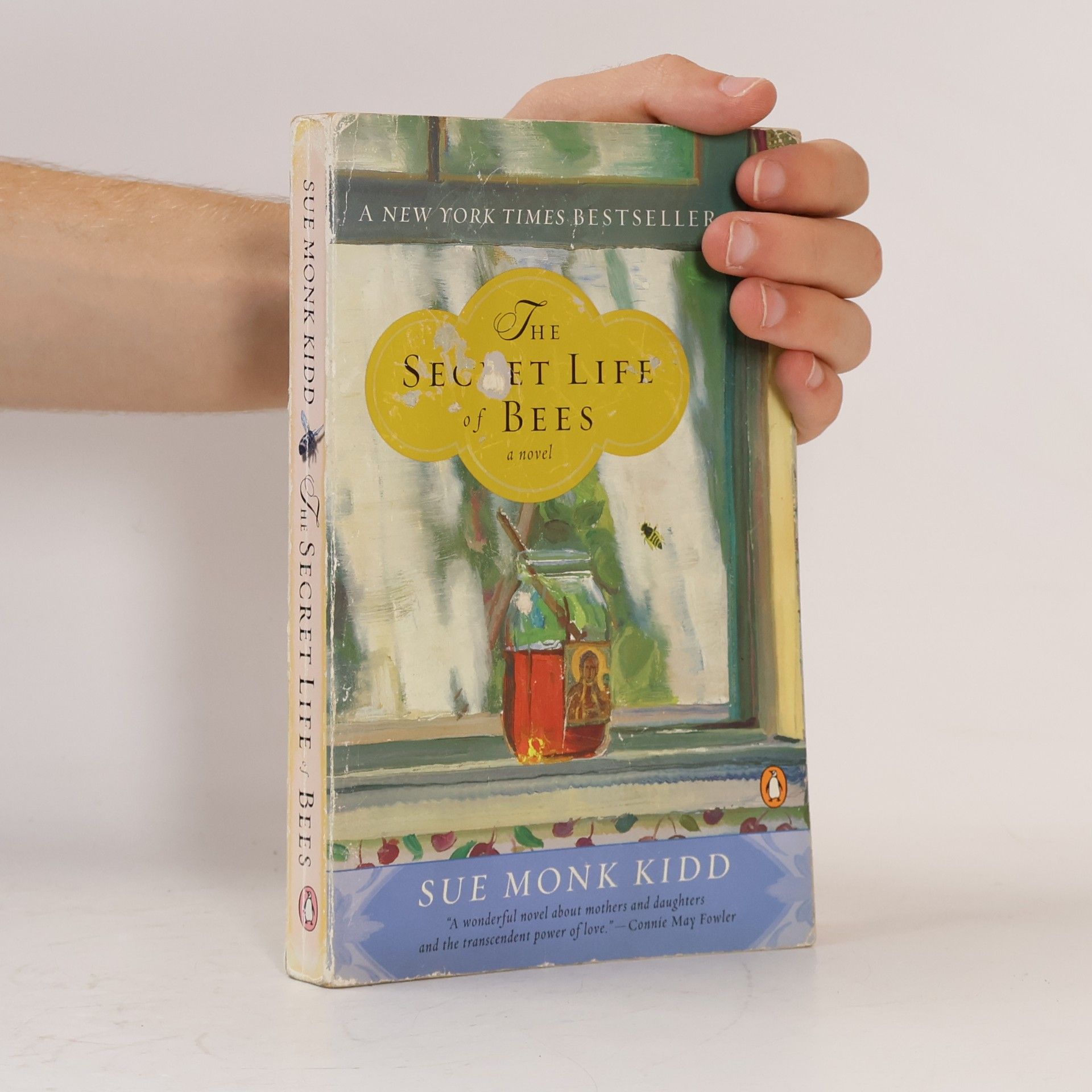 Sue Monk Kidd The secret life of bees