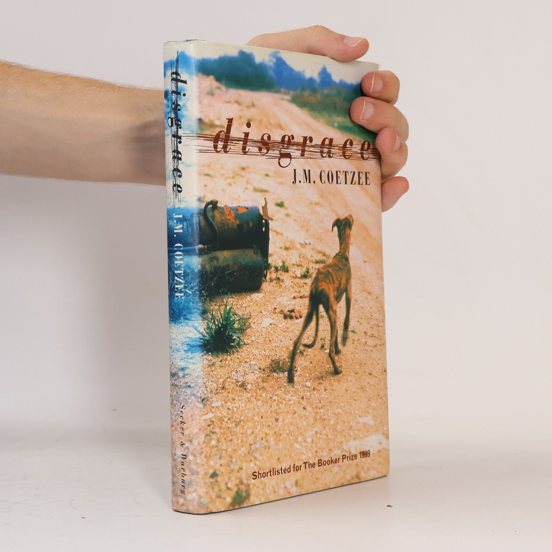 J. M. Coetzee Disgrace