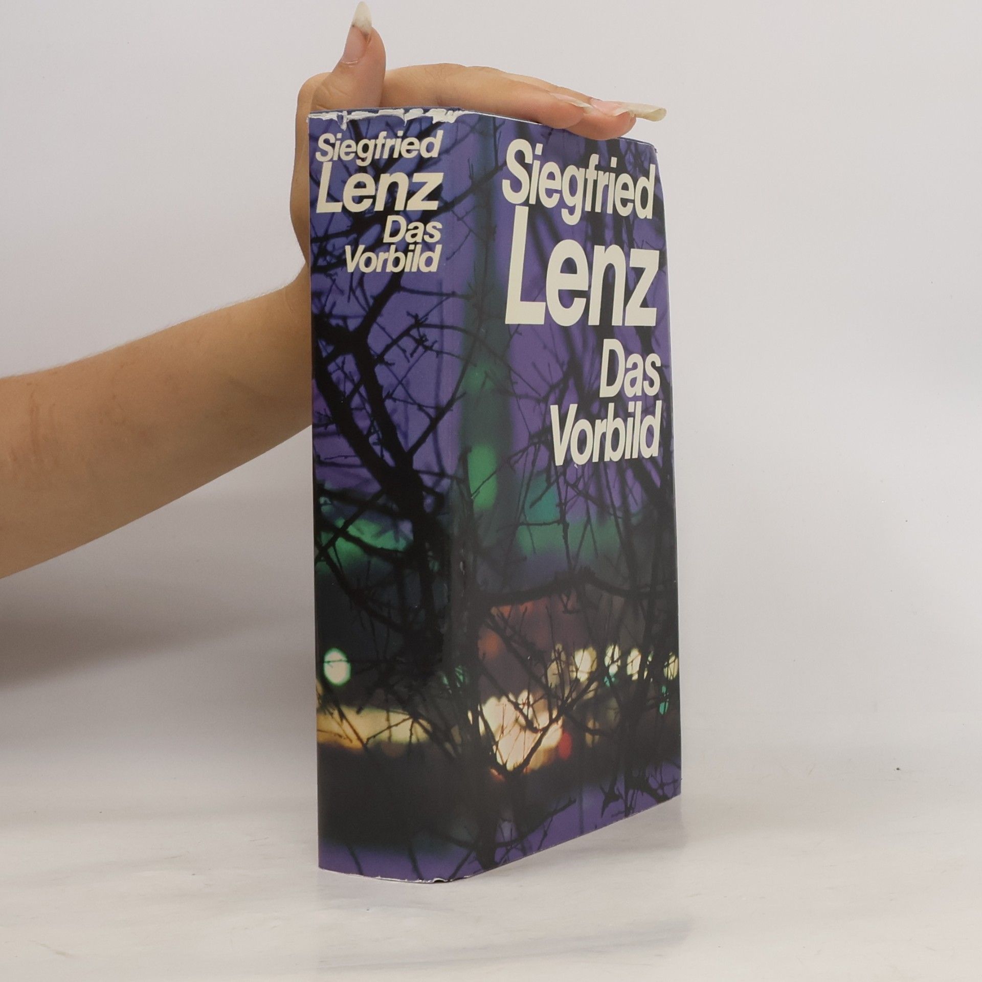 Siegfried Lenz Das Vorbild
