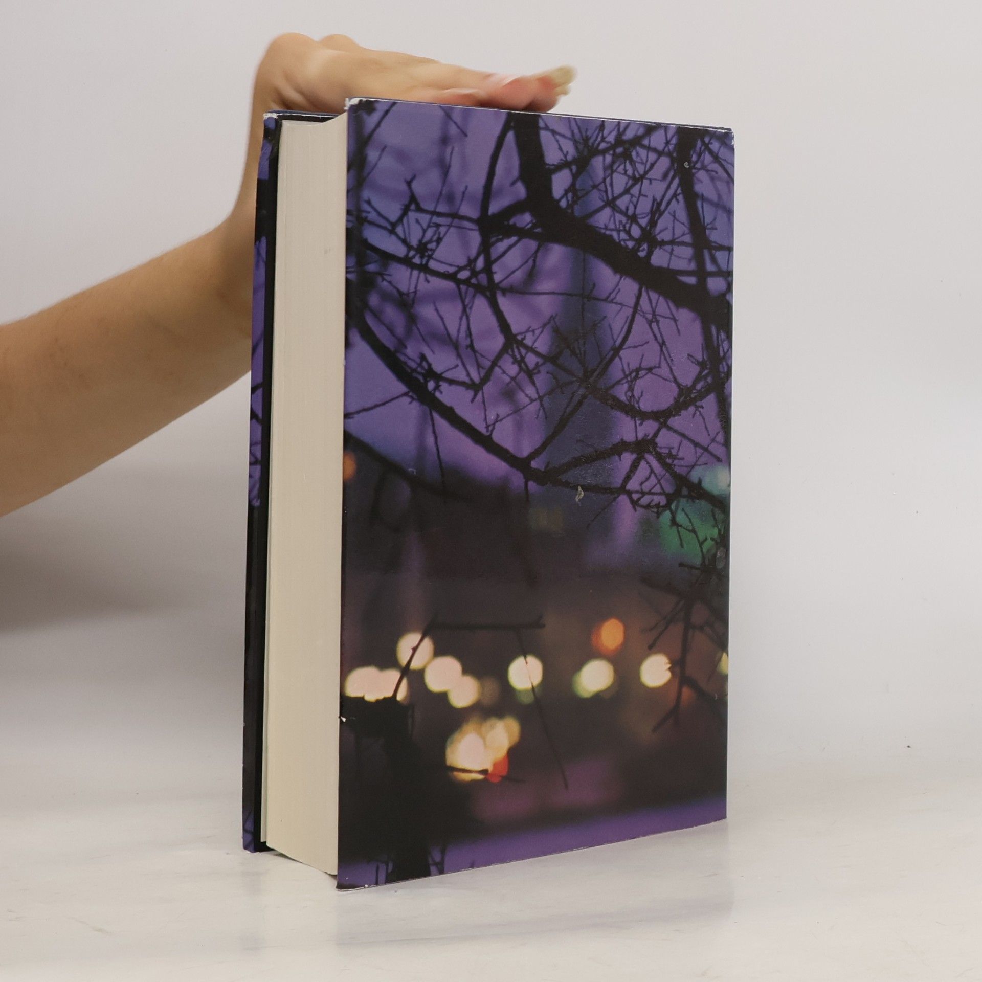 Siegfried Lenz Das Vorbild