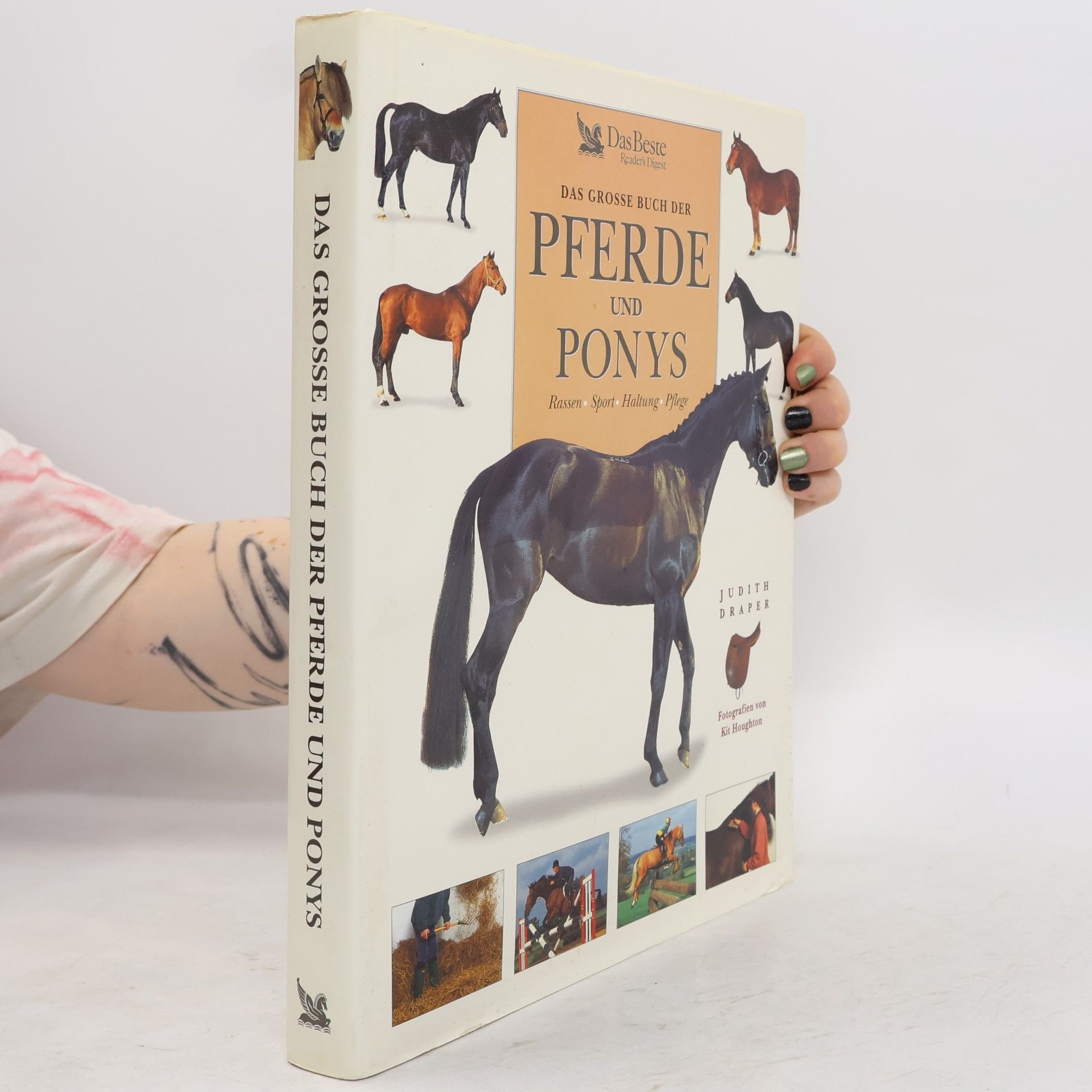 Das grosse Buch der Pferde und Ponys