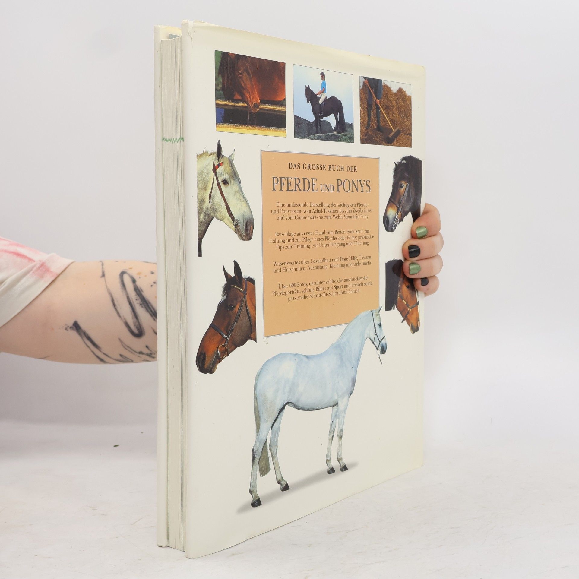 Judith Draper Das grosse Buch der Pferde und Ponys