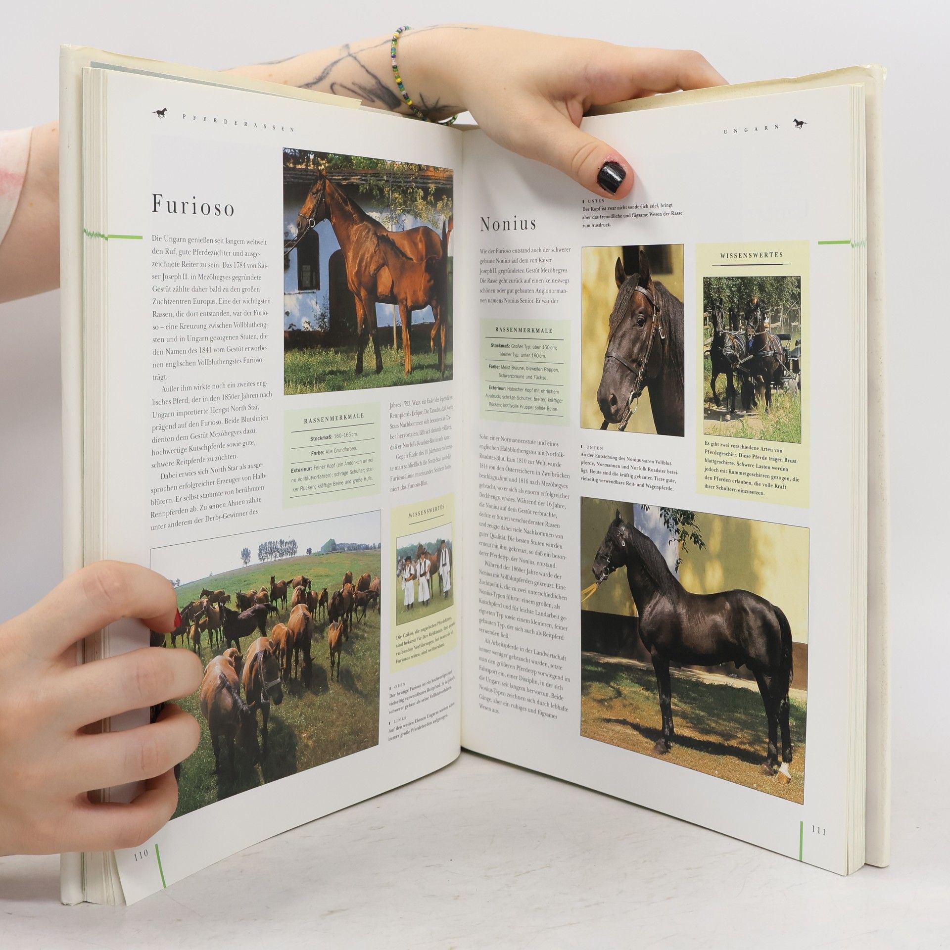 Judith Draper Das grosse Buch der Pferde und Ponys