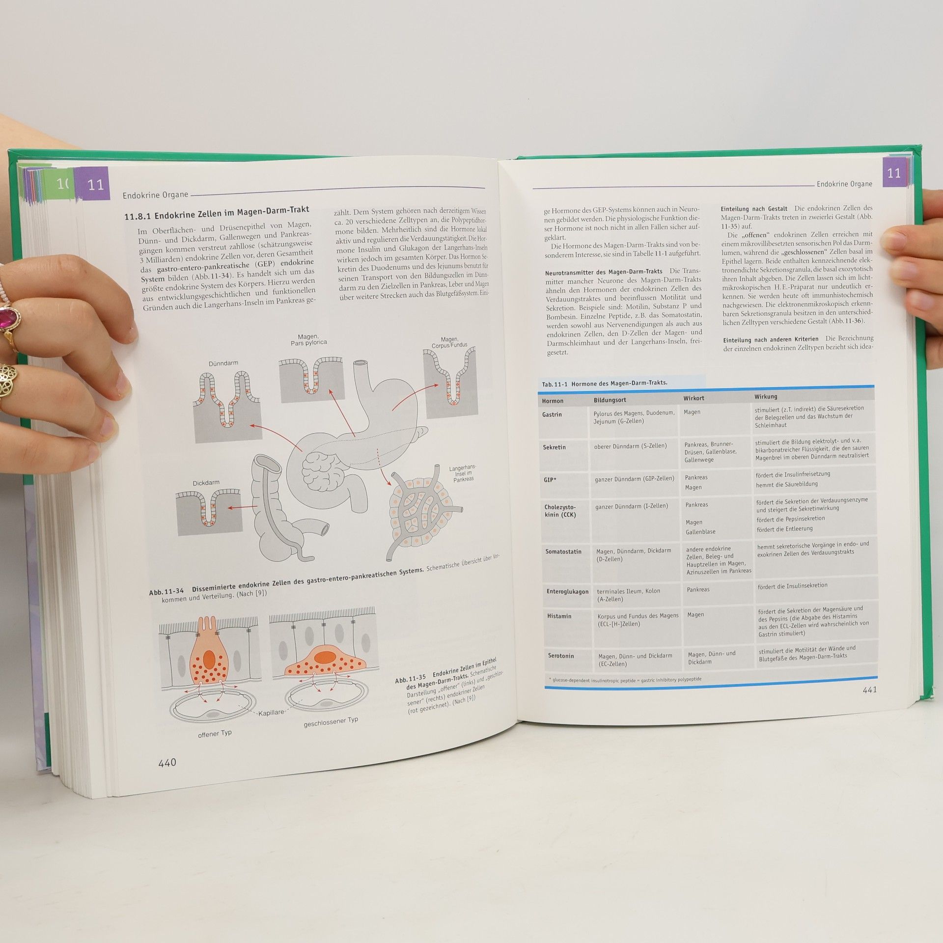 Ulrich Welsch Lehrbuch Histologie
