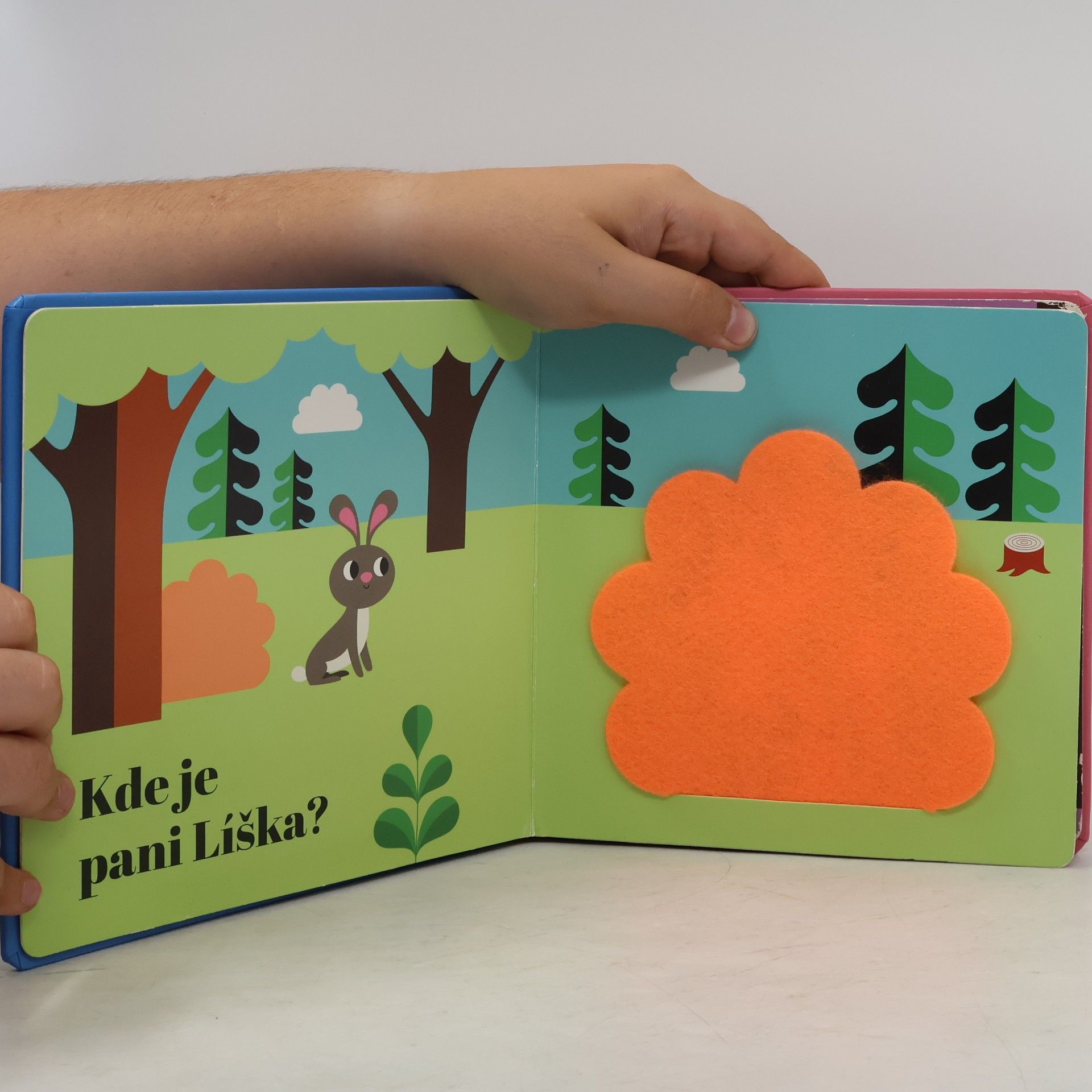 Autores varios Kde je pani Sova?