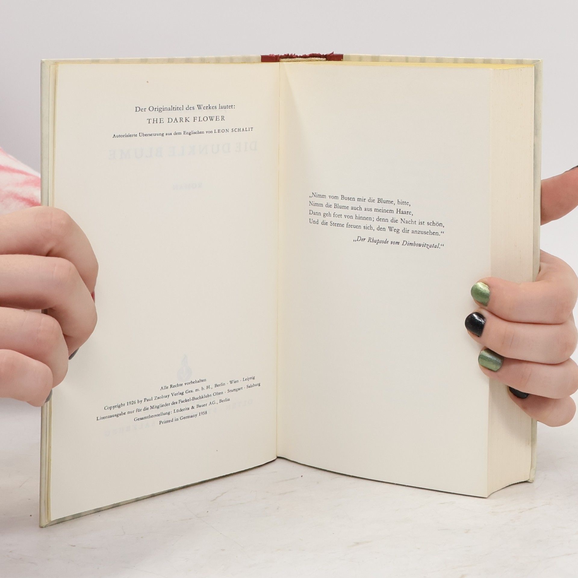 John Galsworthy Die Dunkle Blume