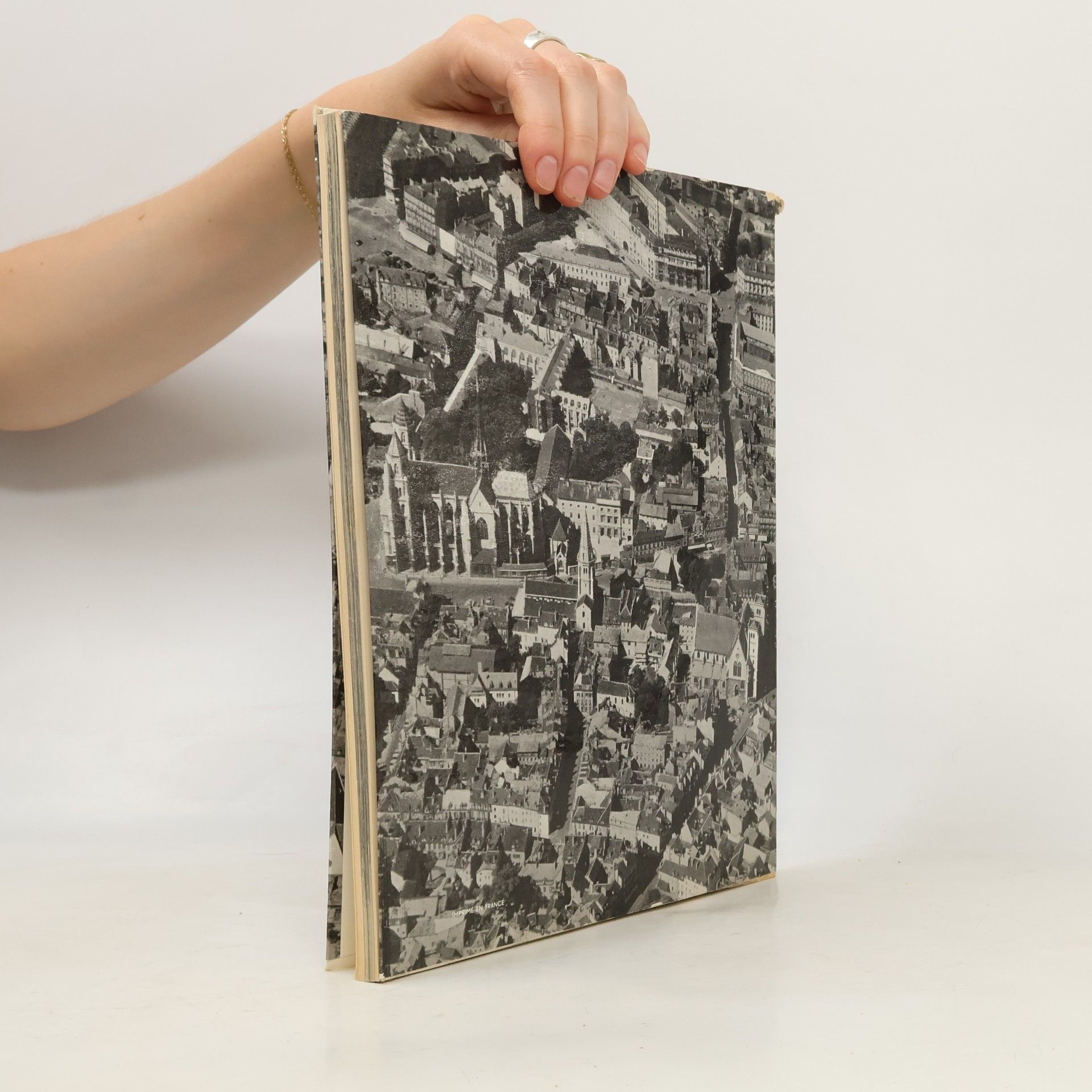 Autores varios Dijon