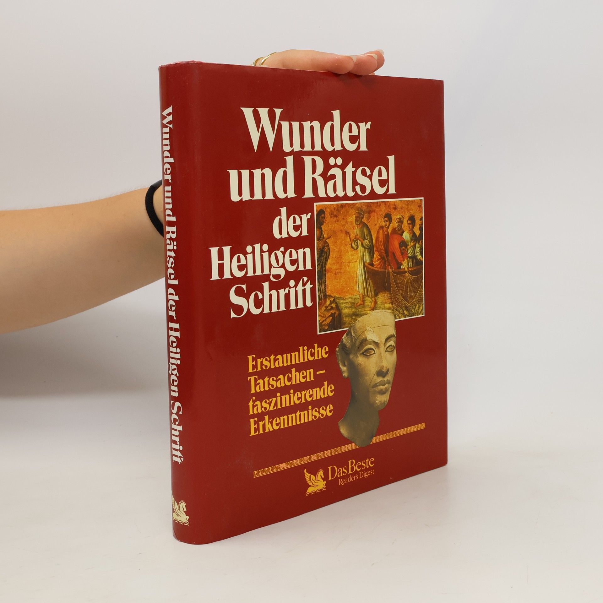Kolektiv autorů Wunder und Rätsel der Heiligen Schrift