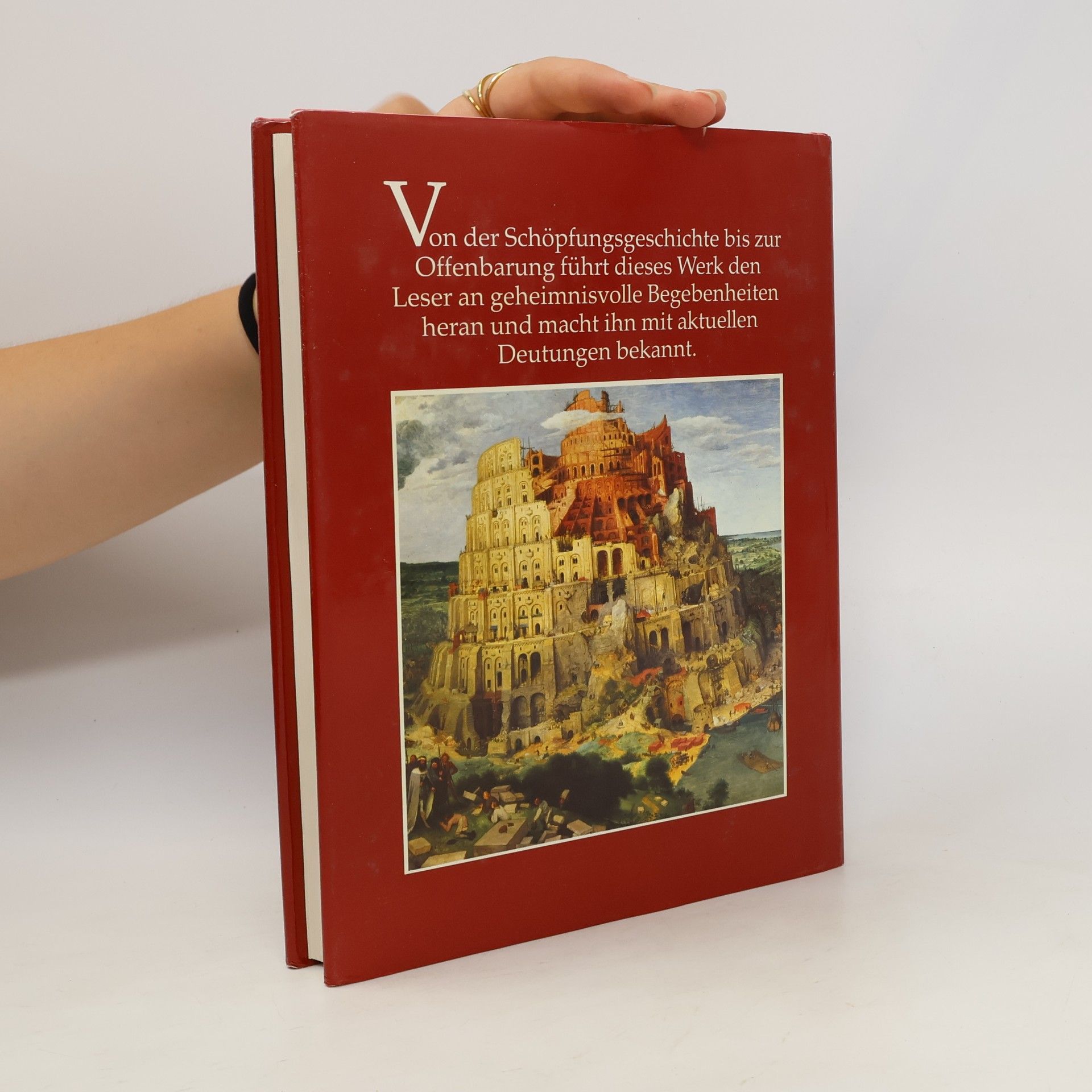 Autorenkollektiv Wunder und Rätsel der Heiligen Schrift