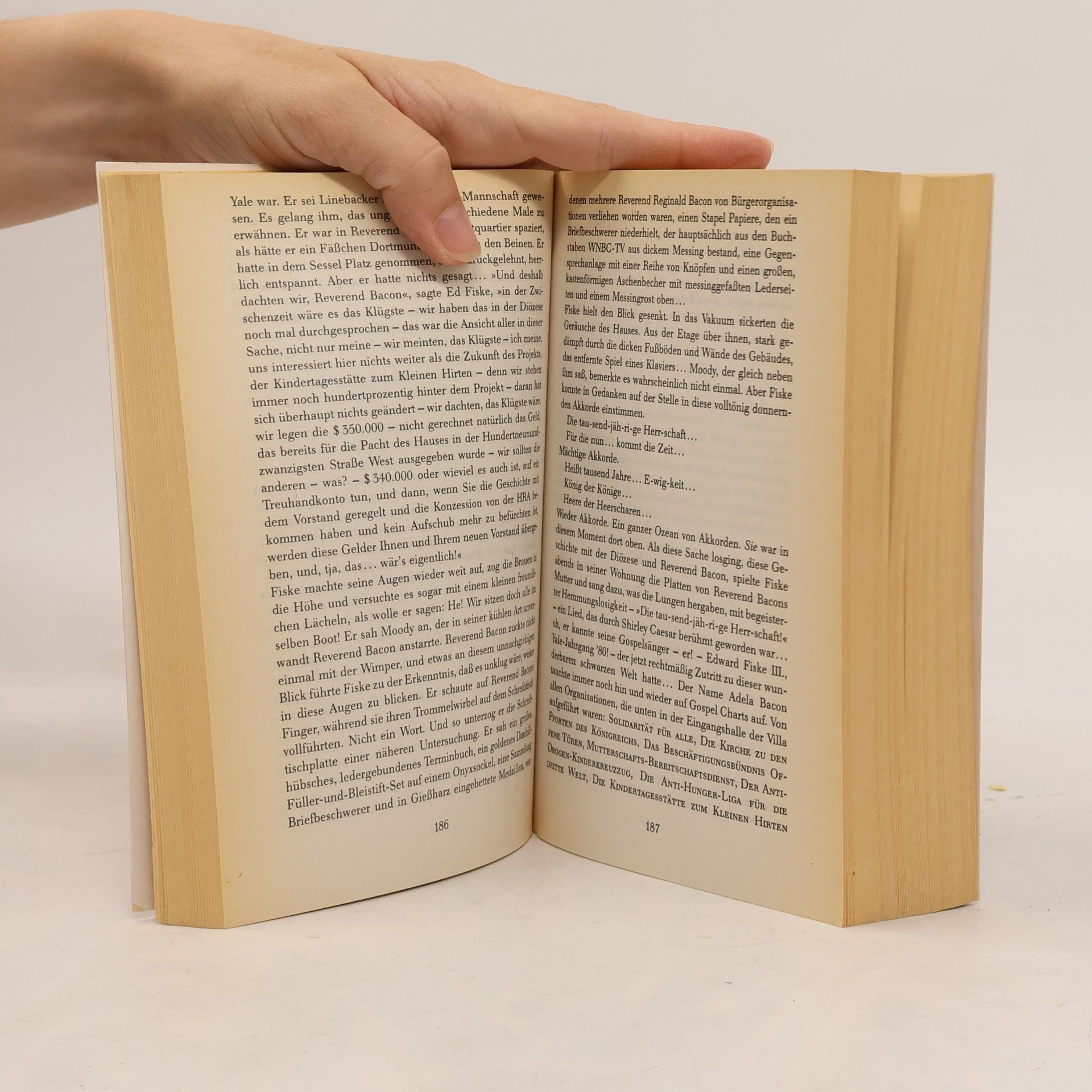 Tom Wolfe Fegefeuer der Eitelkeiten