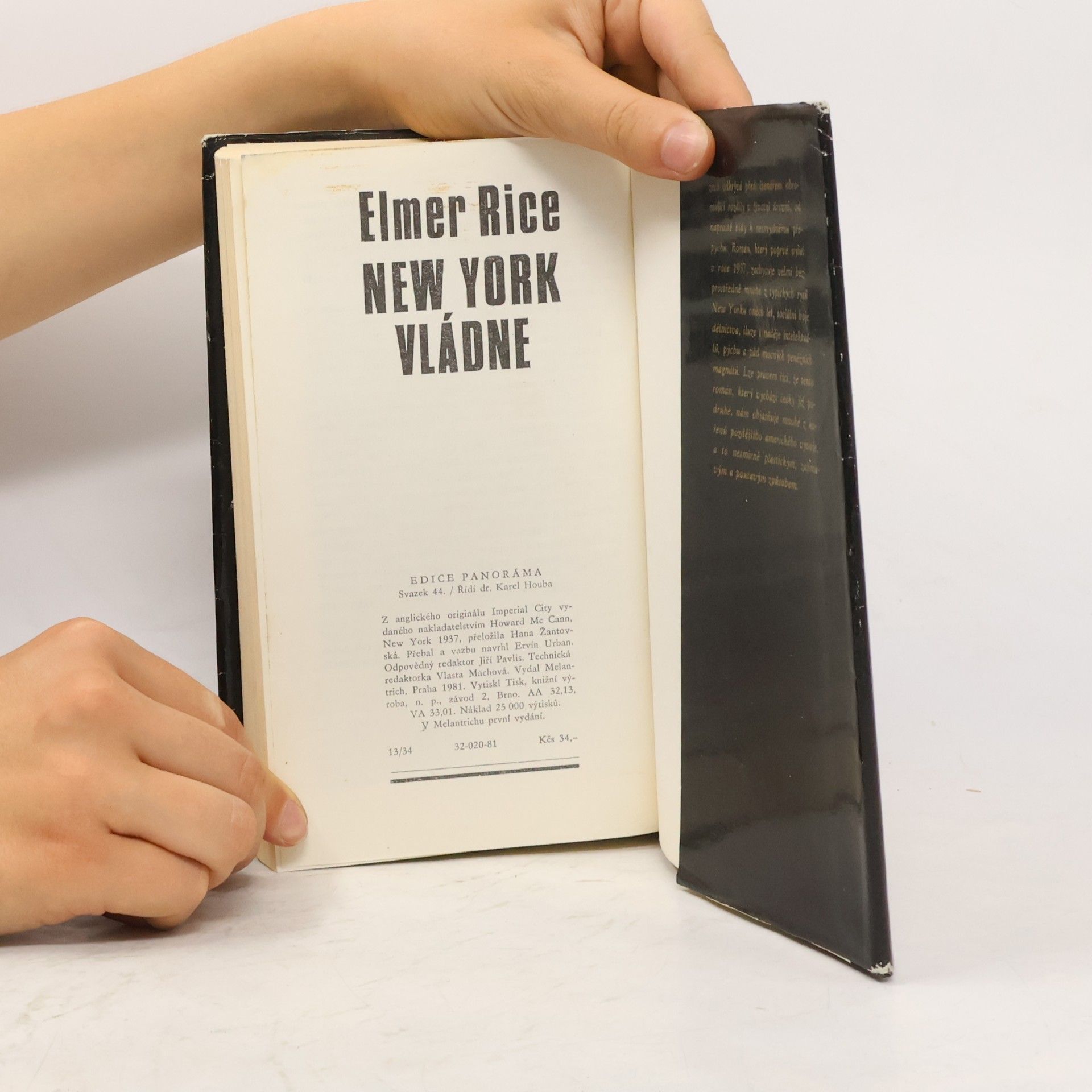 Elmer Rice New York vládne