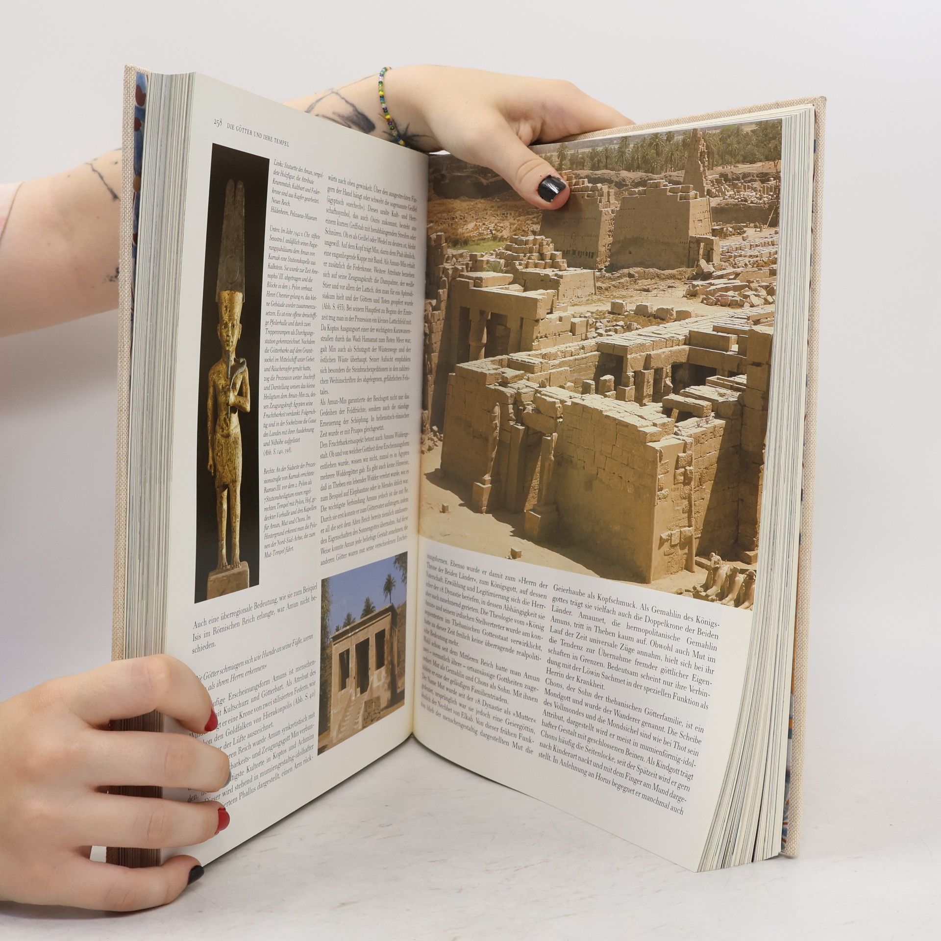 Arne Eggebrecht Das Alte Ägypten