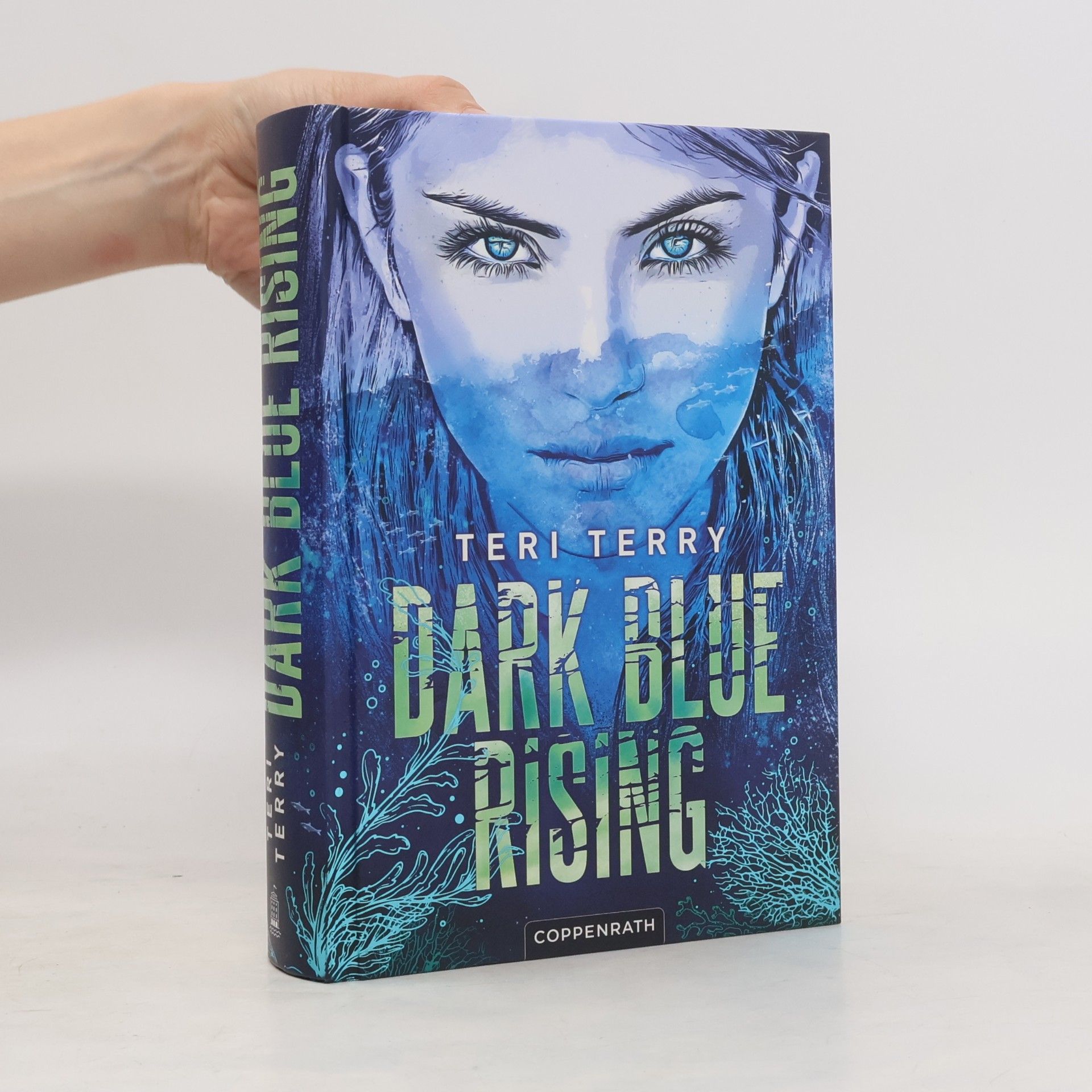 Teri Terry Dark Blue Rising