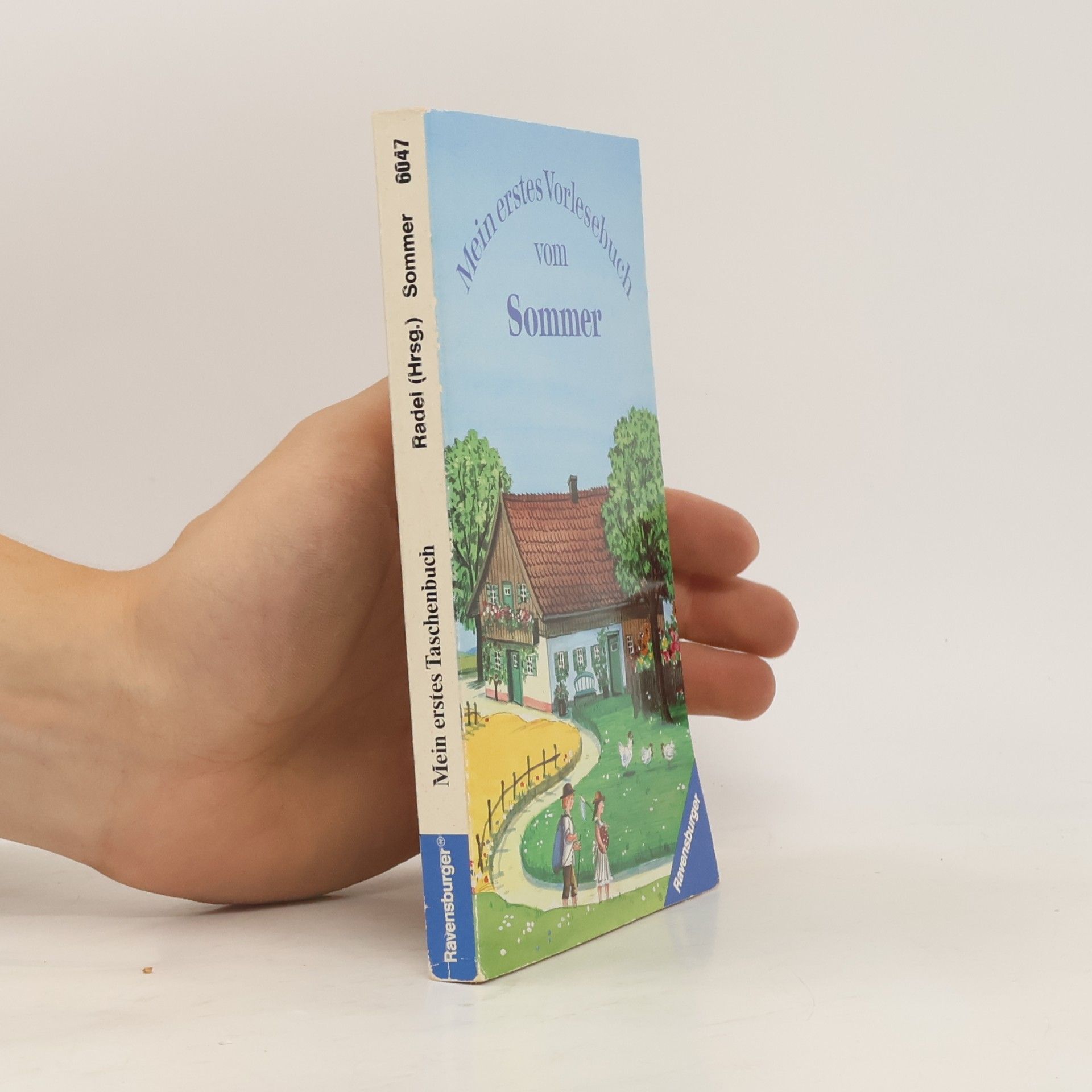 Autorenkollektiv Mein erstes Vorlesebuch vom Sommer