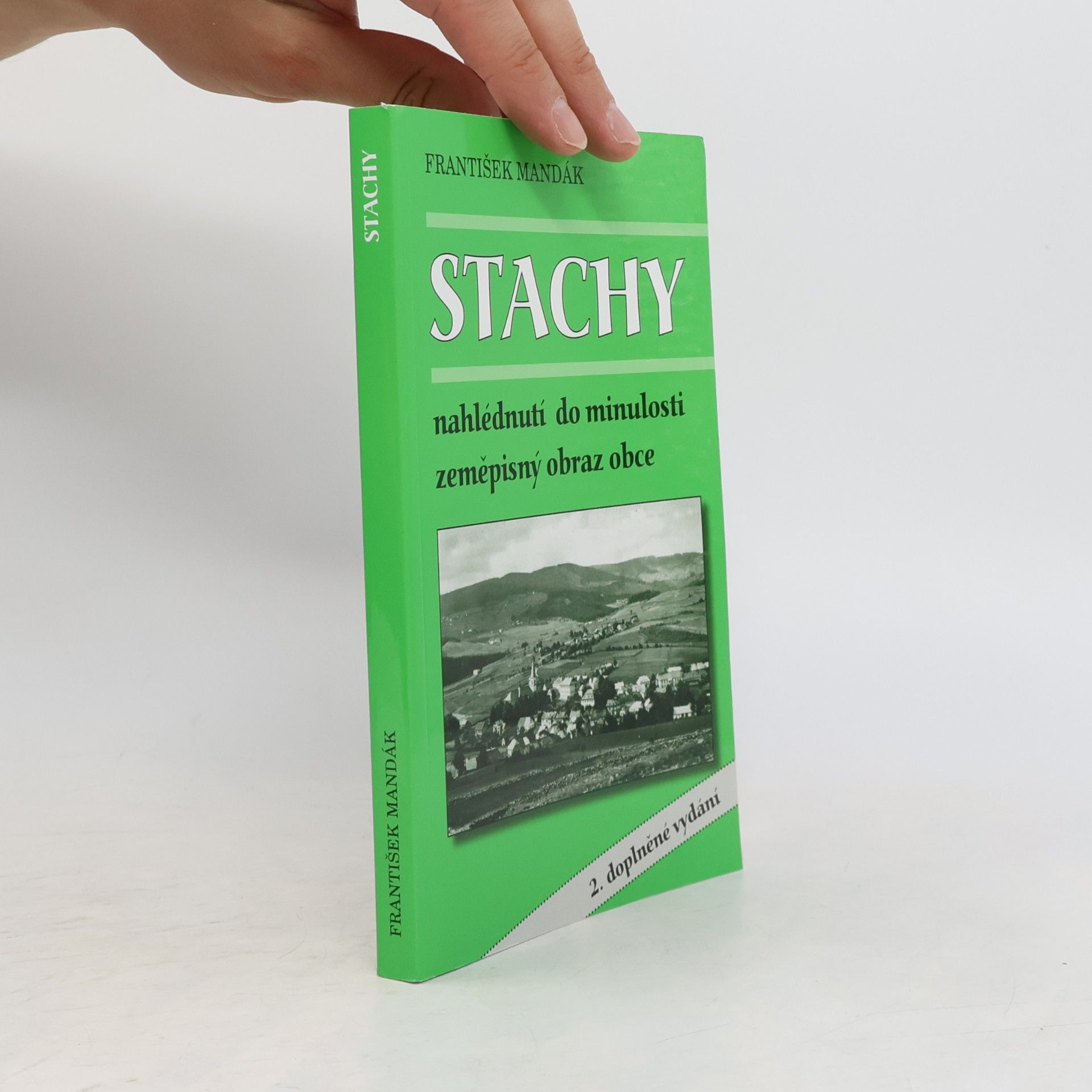 Stachy
