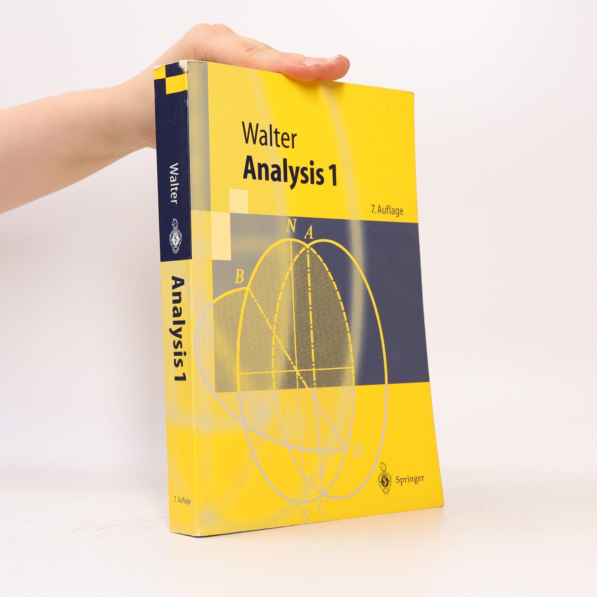 Wolfgang Walter Analysis 1