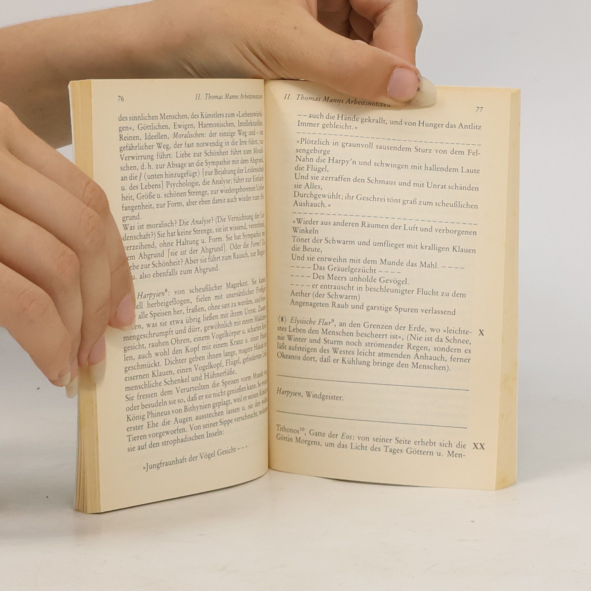 Ehrhard Bahr Thomas Mann, Der Tod in Venedig