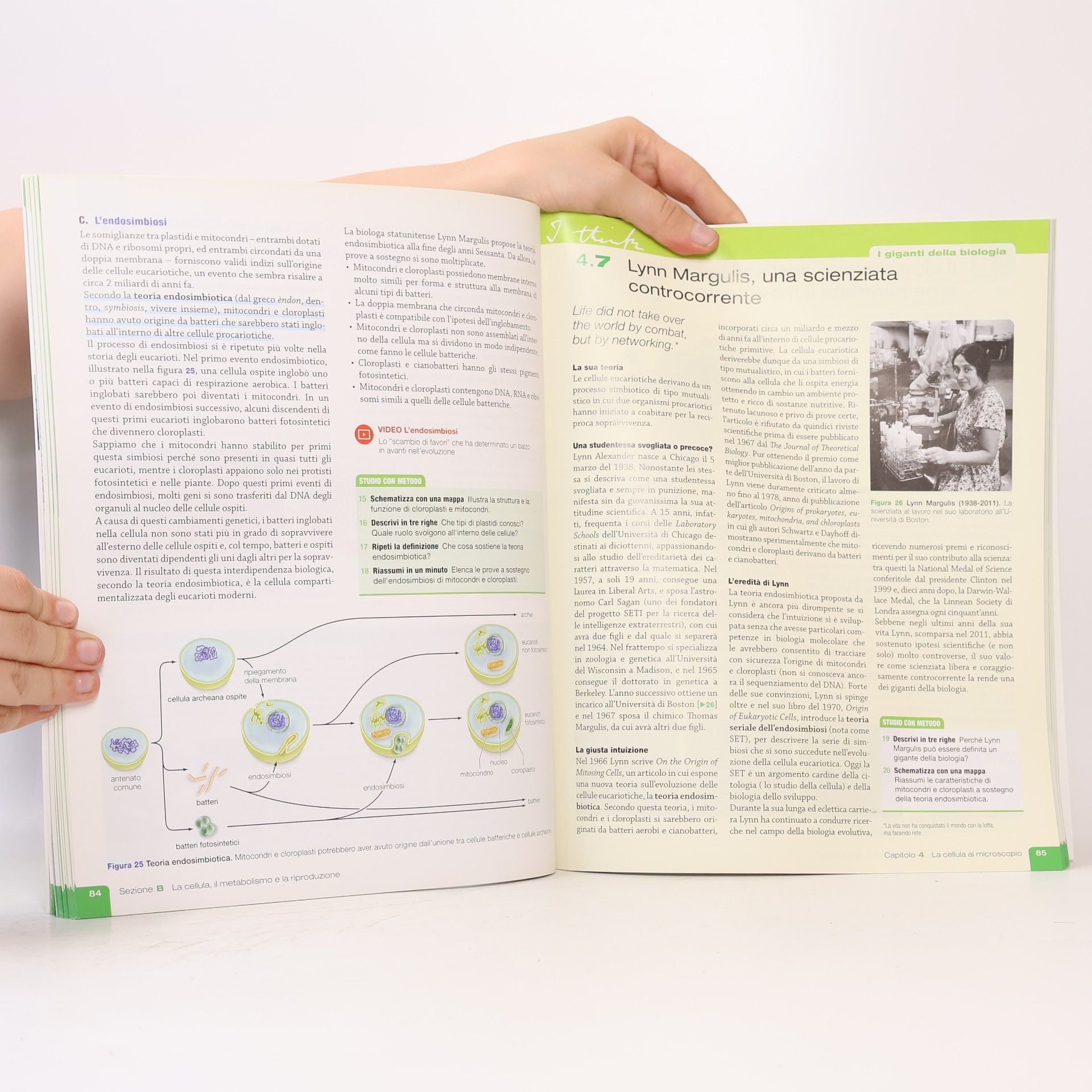 Mariëlle Hoefnagels Biologia. Indagine sulla vita. Linea Verde. Per il primo biennio delle scuole superiori. Con e-book. Con espansione online