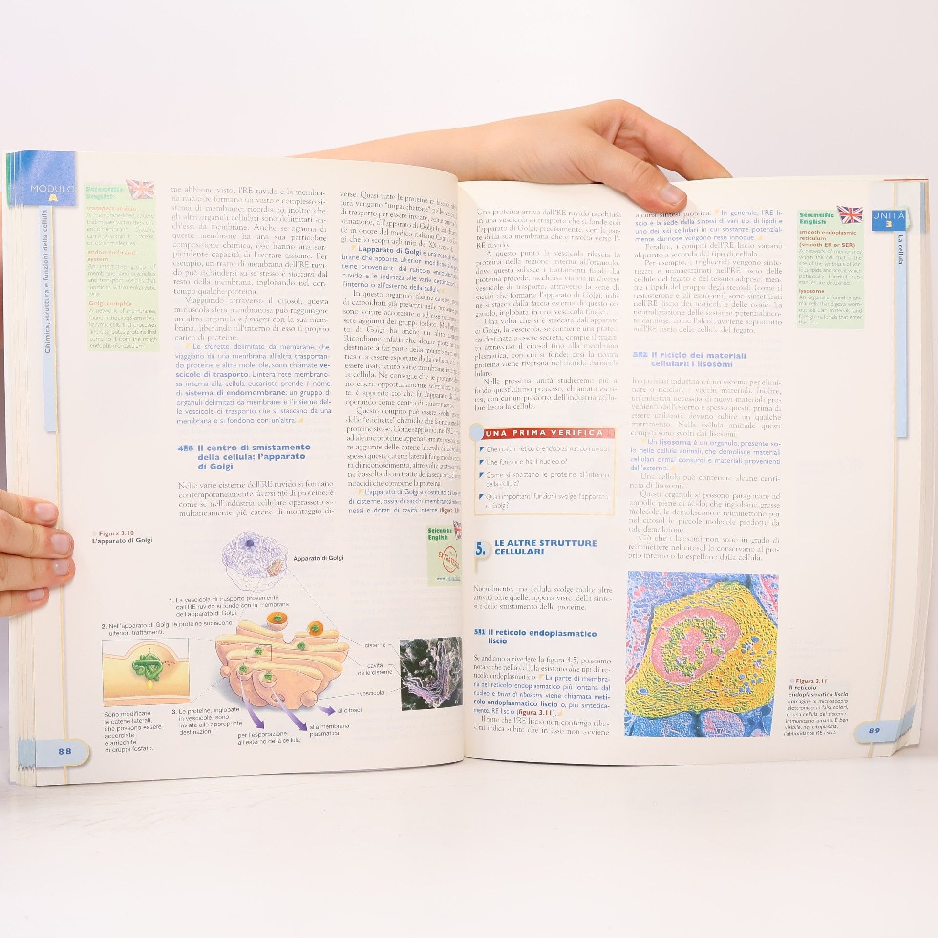 David Krogh Biologia Oggi A. Cellula, geneticam evoluzione