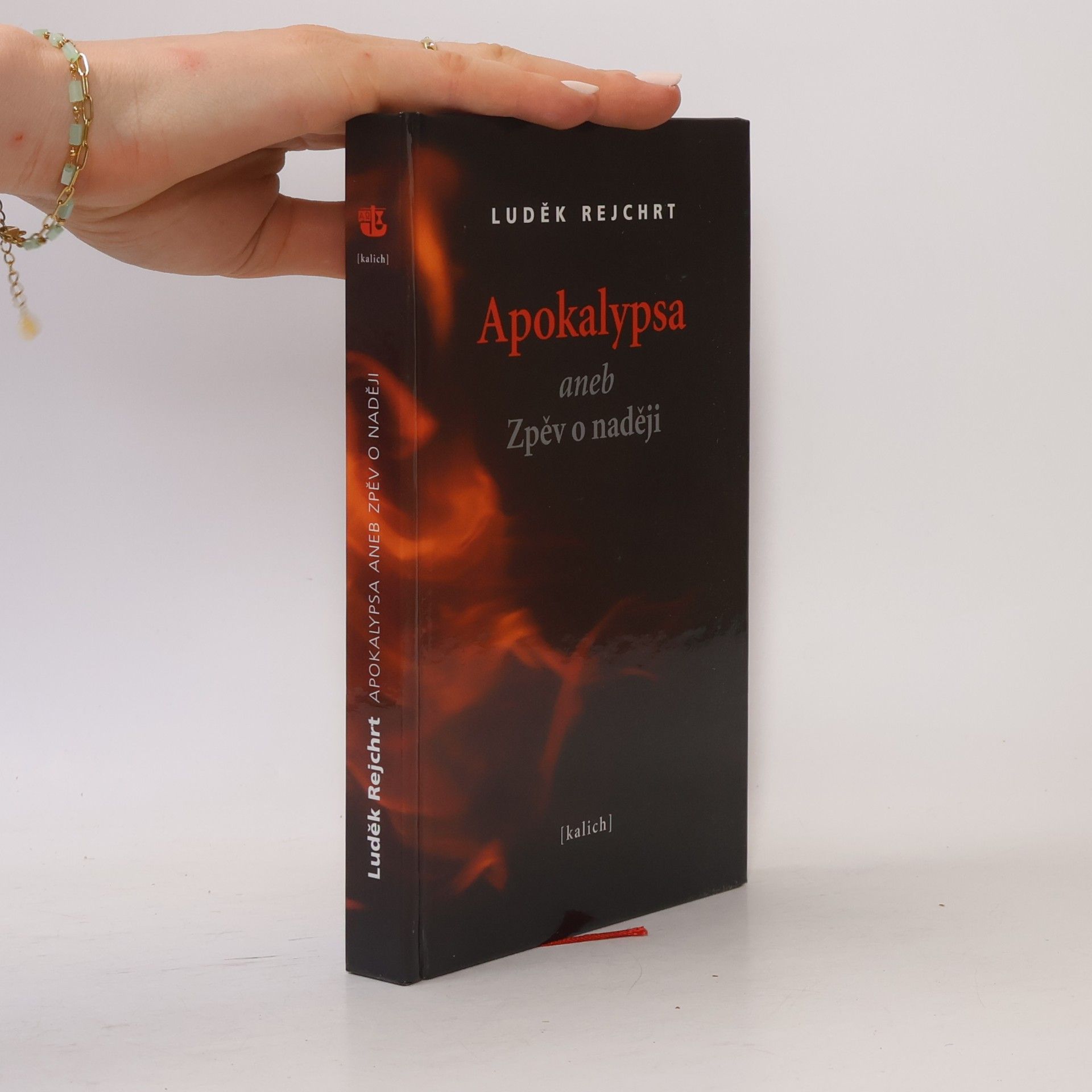 Apokalypsa aneb Zpěv o naději