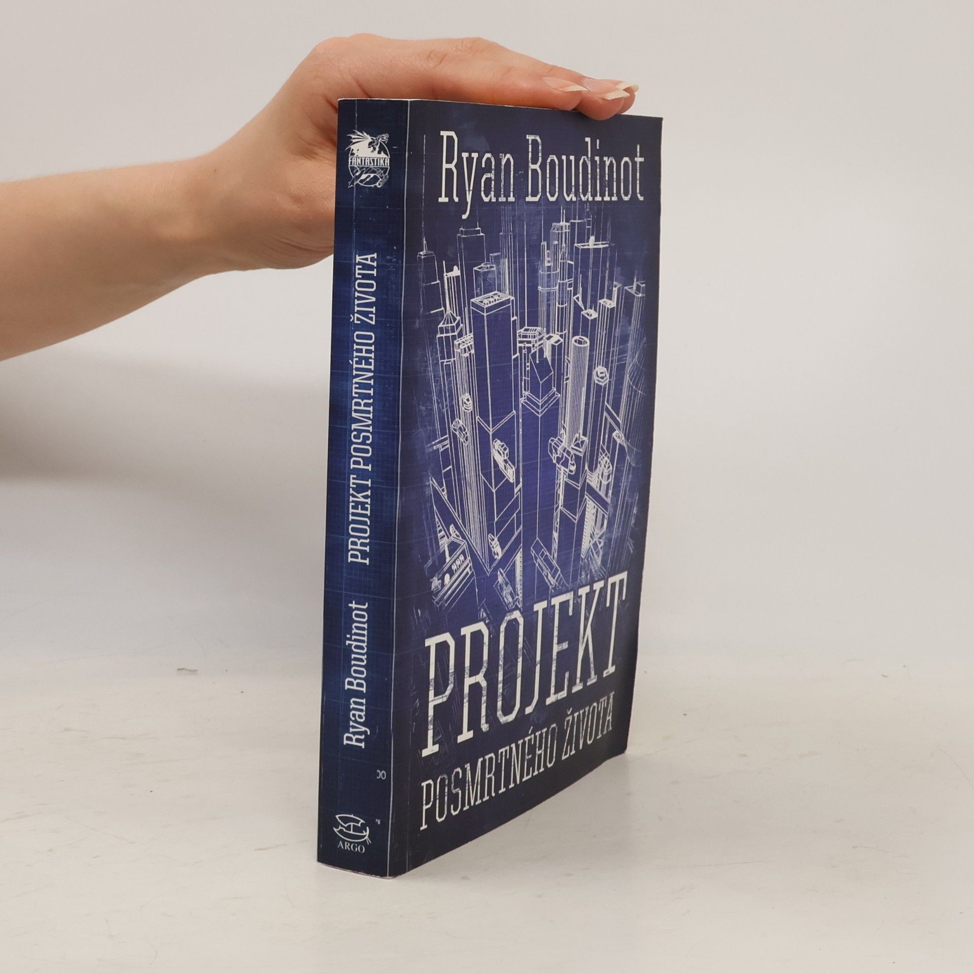 Ryan Boudinot Projekt posmrtného života