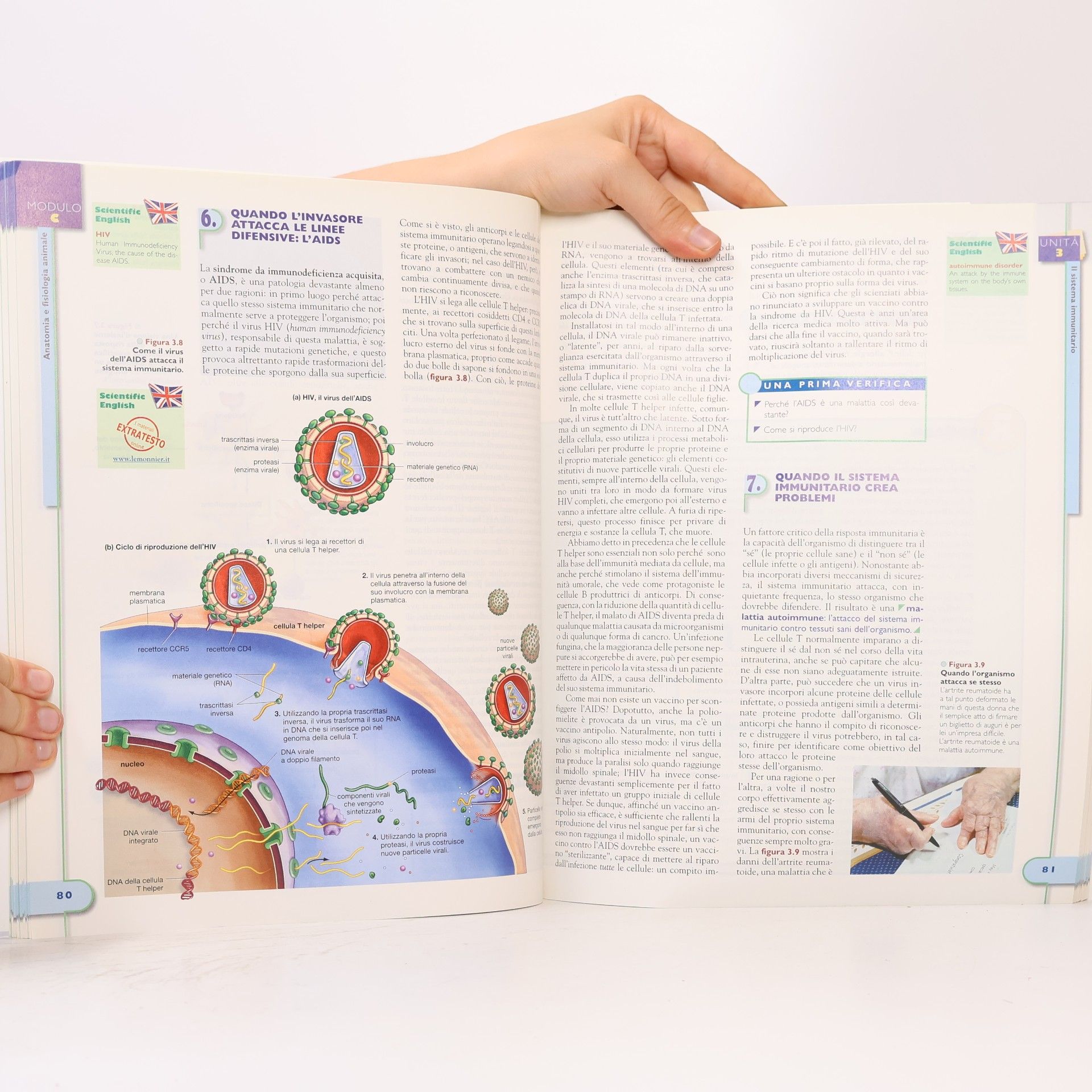 David Krogh Biologia Oggi B