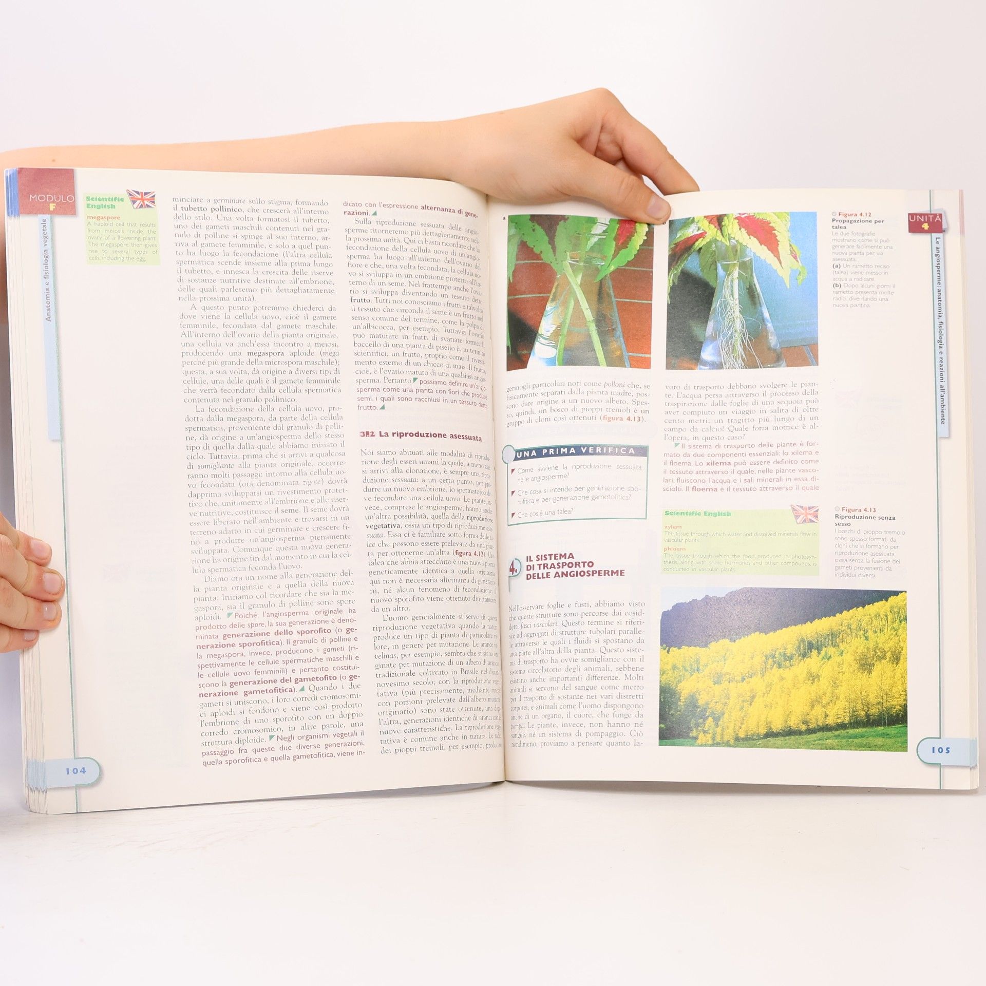 David Krogh Biologia Oggi C